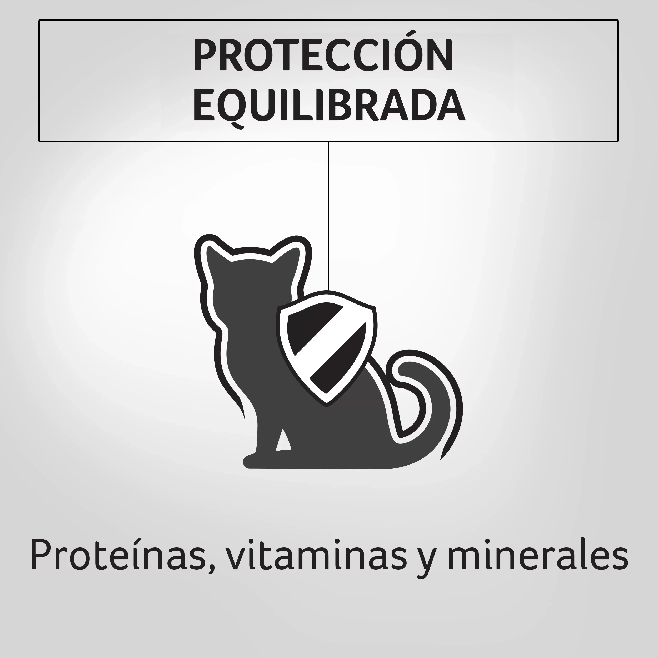 Comida Humeda Para Gatitos Purina Pro Plan Sabor A Pollo x 85Gr - Image 5