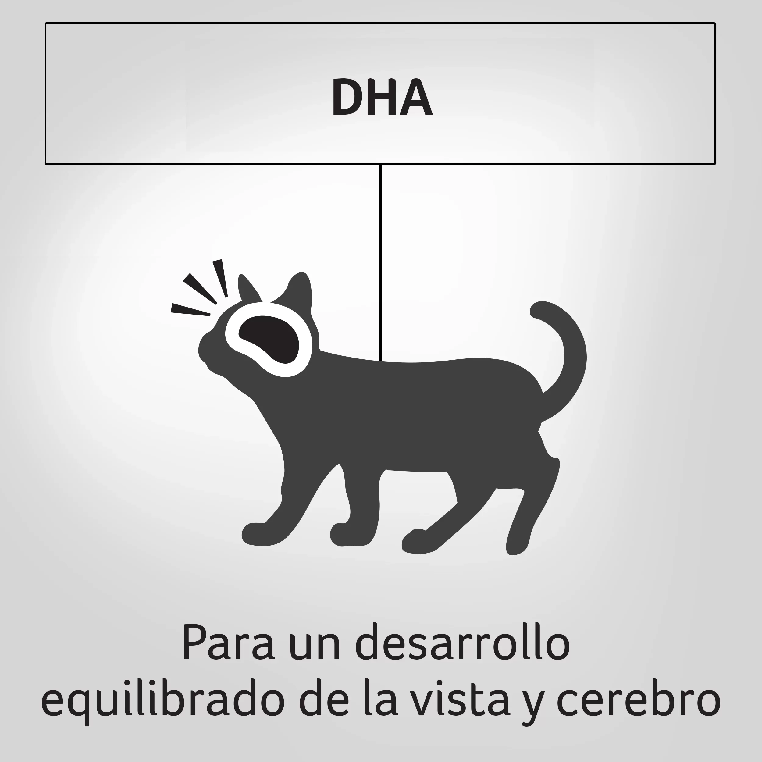 Comida Humeda Para Gatitos Purina Pro Plan Sabor A Pollo x 85Gr - Image 6