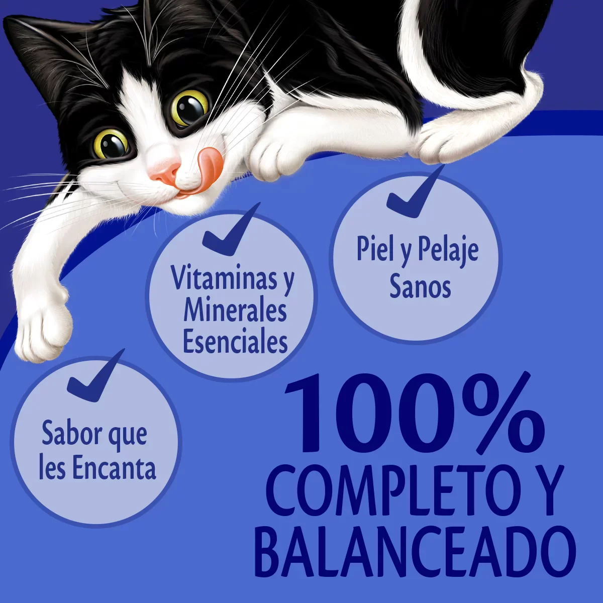 Comida Húmeda Para Gatos Felix Atun En Salsa x 85 Gr - Image 4