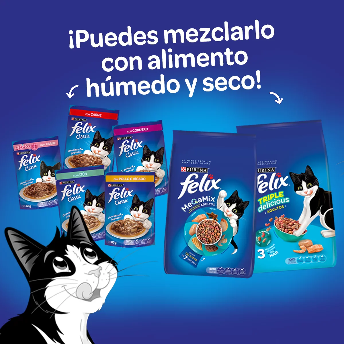 Comida Húmeda Para Gatos Felix Carne En Salsa x 85 Gr - Image 5