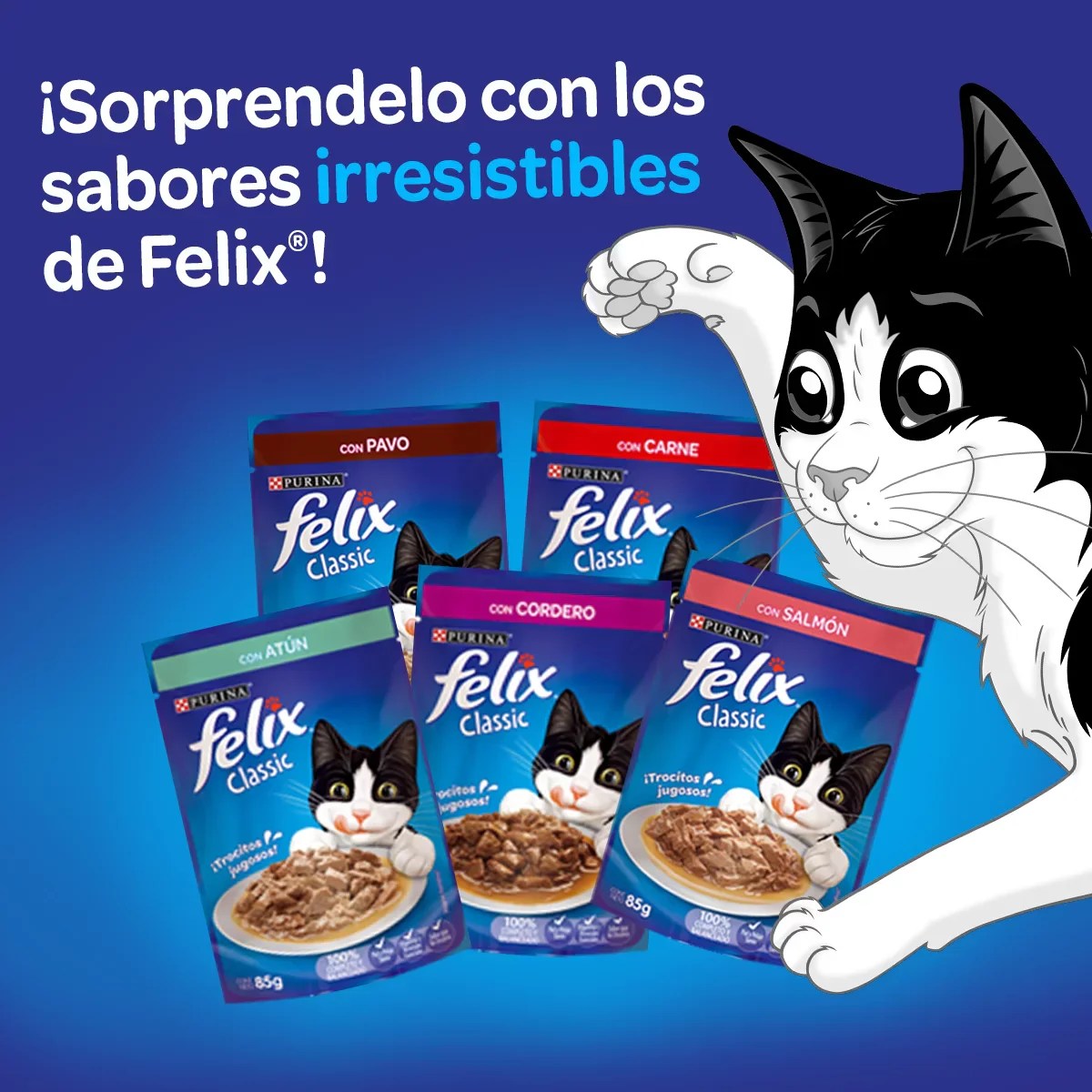 Comida Humeda Para Gatos Felix Pavo En Salsa x 85 Gr - Image 5
