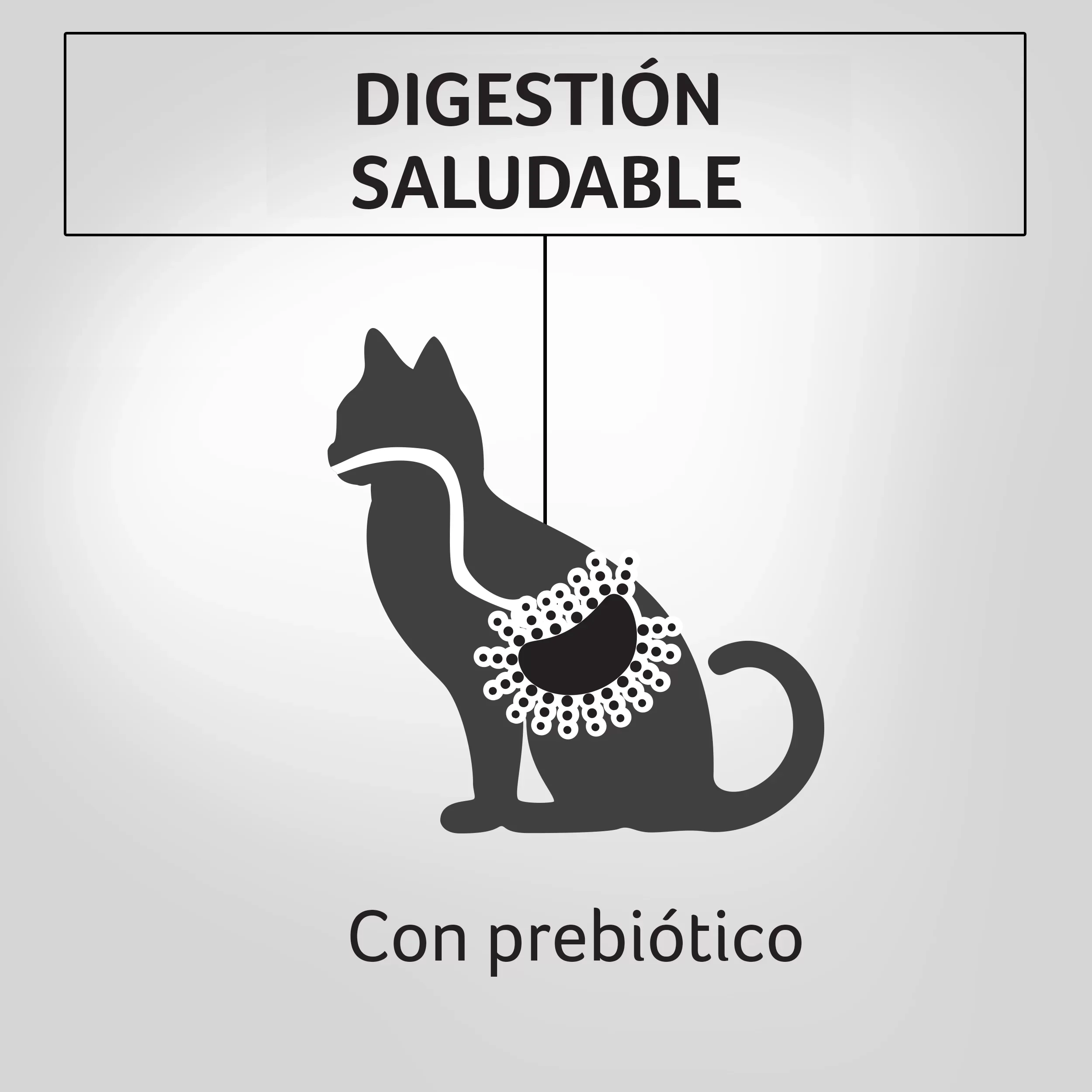 Comida Húmeda Para Gatos Sabor A Salmón  Purina Pro Plan x 85 Gr - Image 4
