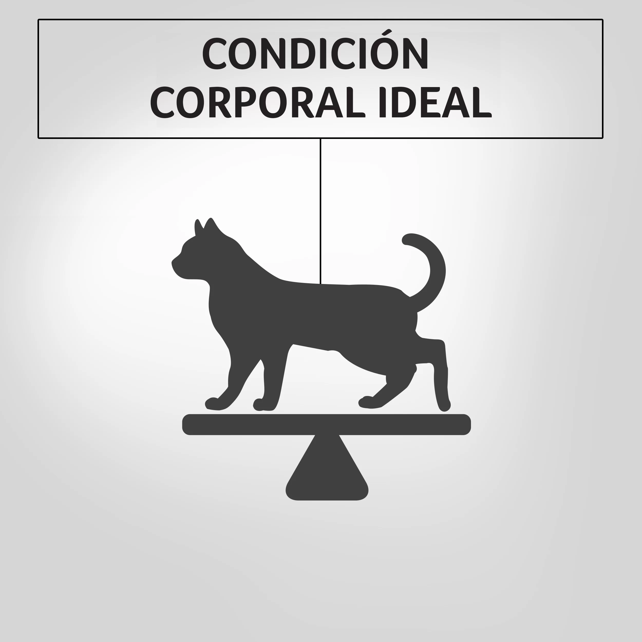 Comida Húmeda Purina Pro Plan Adultos Esterilizados x 85 Gr - Image 4