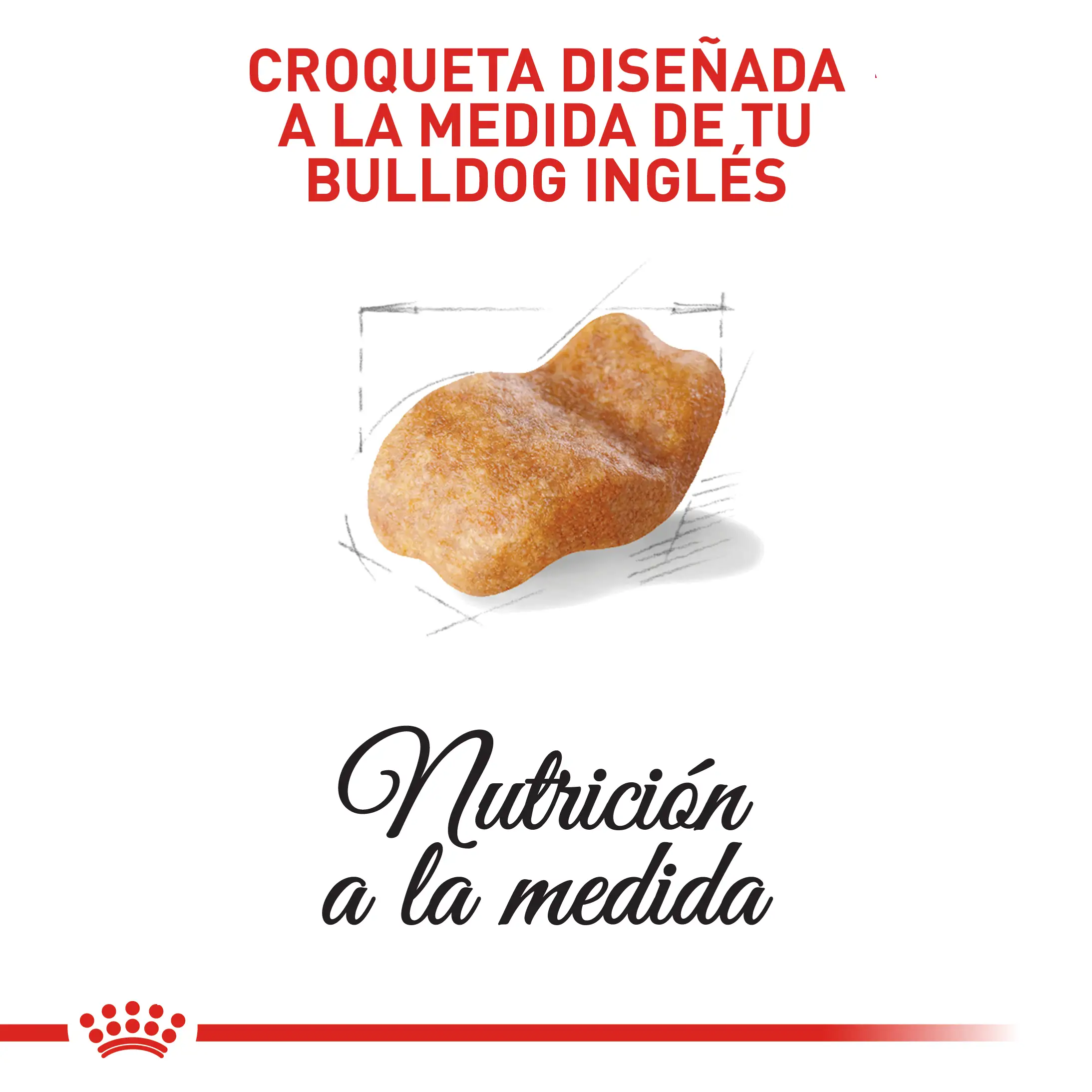 Comida Para Perro Royal Canin Bhn Bulldog Ingles Adulto - Image 3