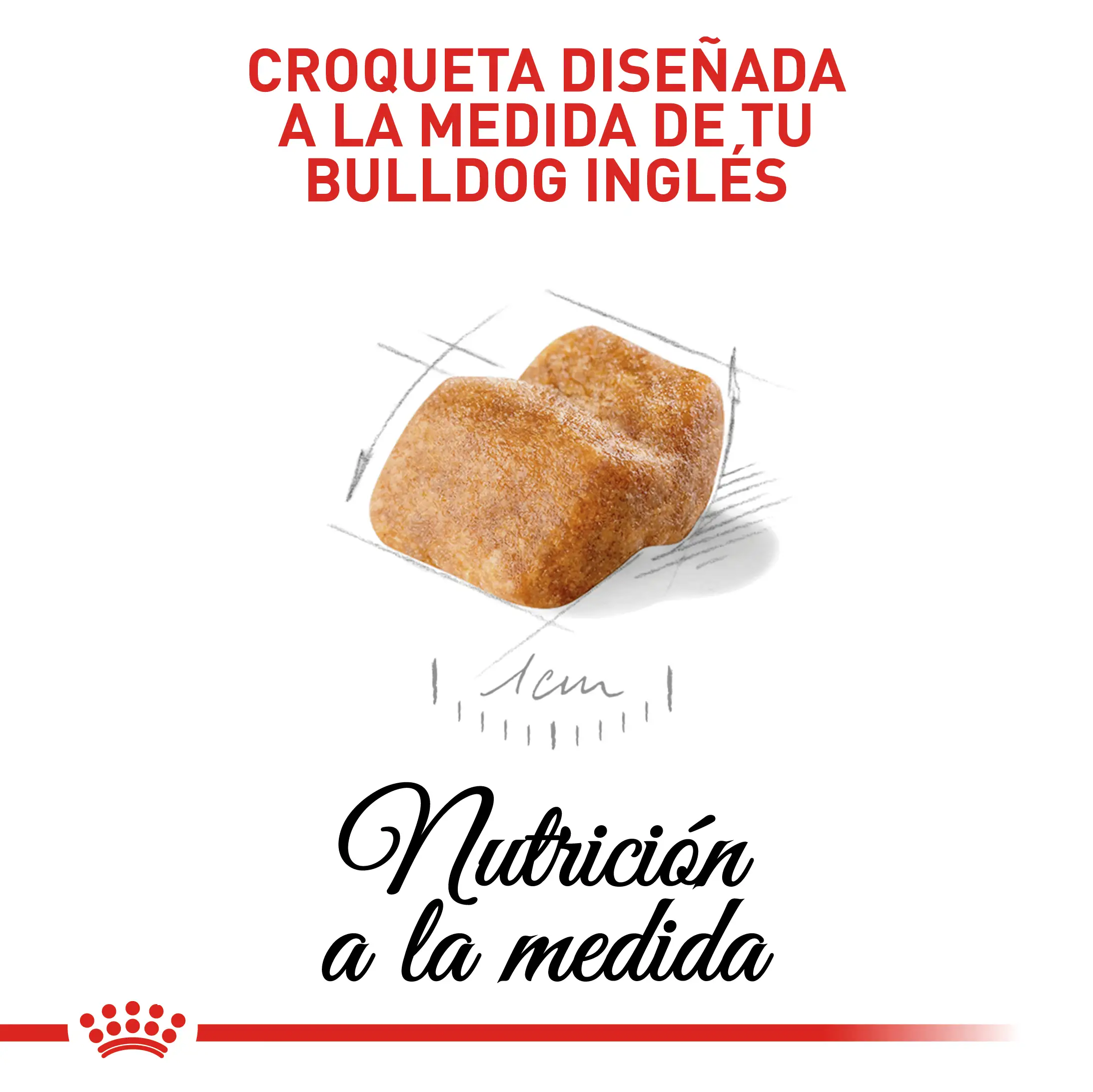 Comida Para Perro Royal Canin Bhn Bulldog Ingles Puppy - Image 3