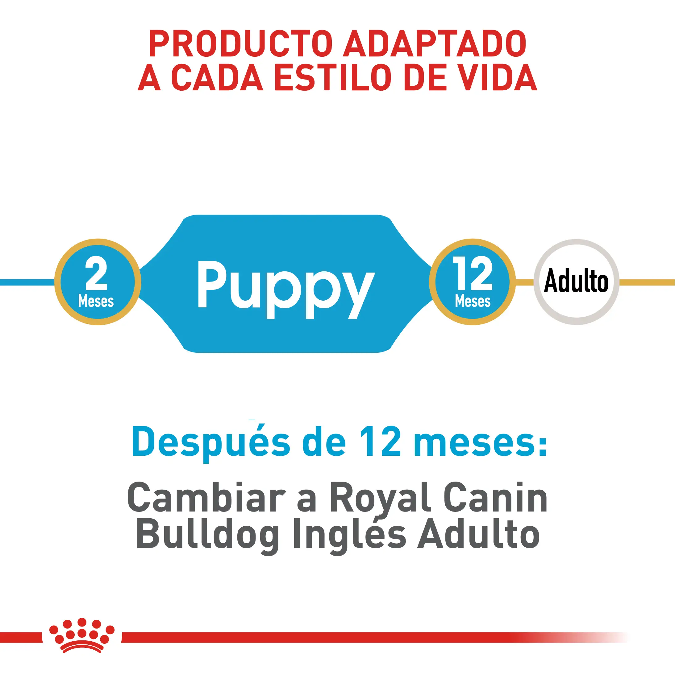 Comida Para Perro Royal Canin Bhn Bulldog Ingles Puppy - Image 7
