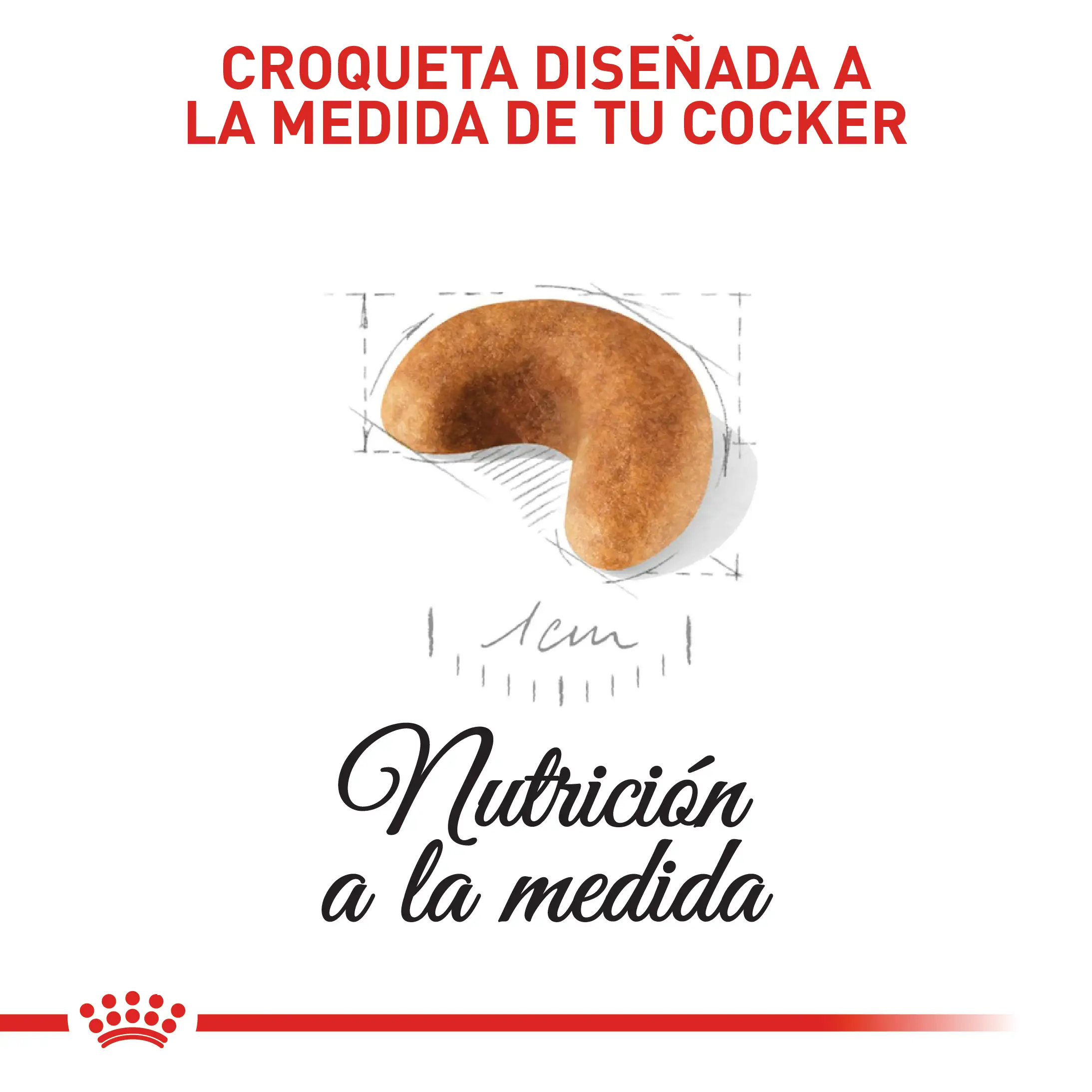Comida Para Perro Royal Canin Bhn Cocker Puppy x 3 Kg - Image 3