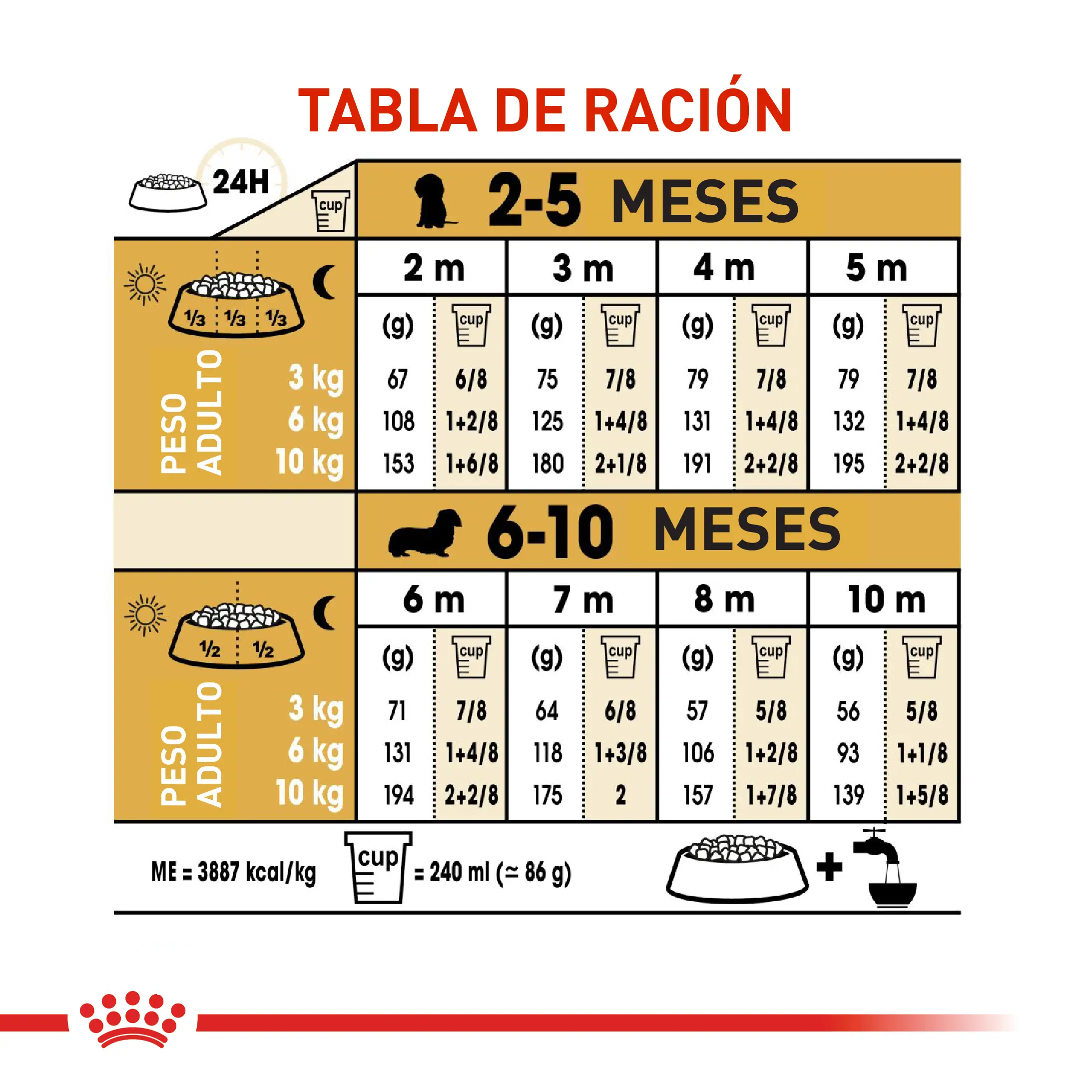 Comida Para Perro Royal Canin Bhn Dachshund Puppy x 1.13 Kg - Image 5