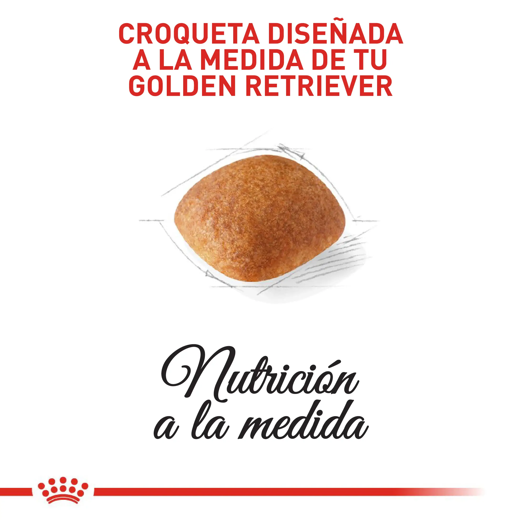 Comida Para Perro Royal Canin Bhn Golden Retriever Adulto x 13.6 Kg - Image 3
