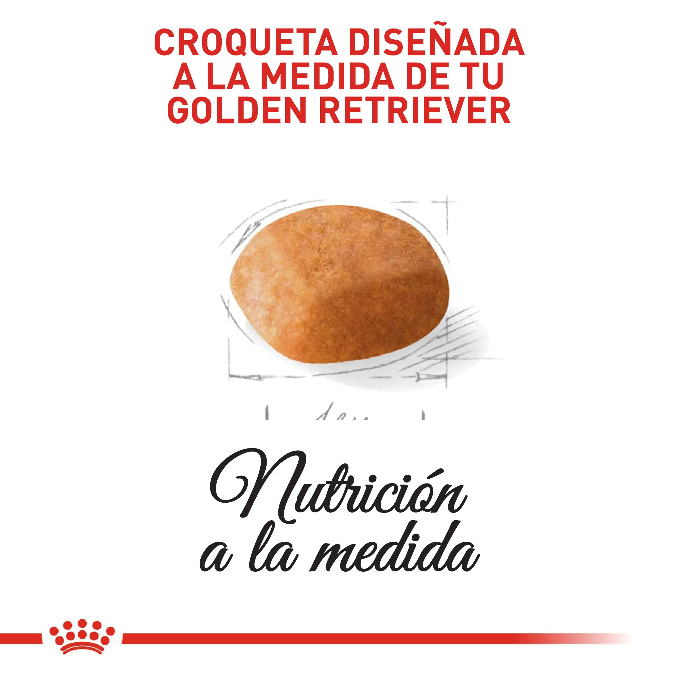Comida Para Perro Royal Canin Bhn Golden Retriever Puppy - Image 3