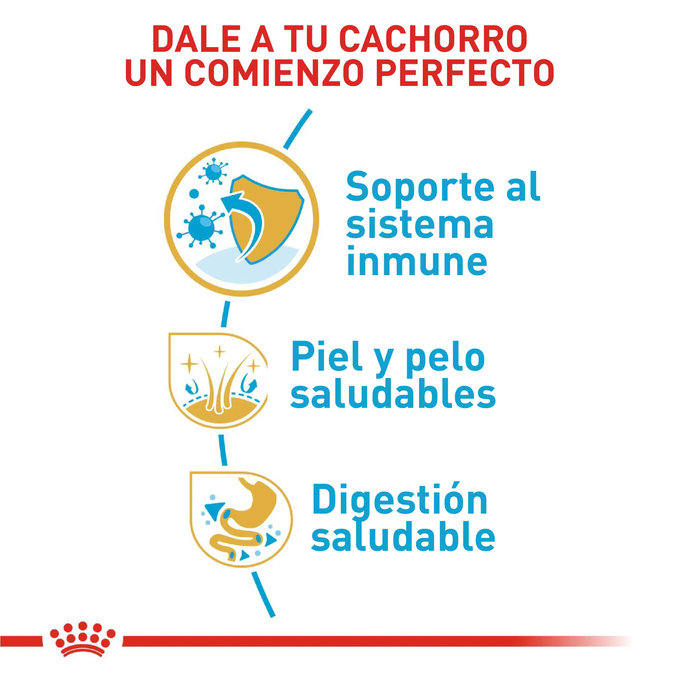 Comida Para Perro Royal Canin Bhn Golden Retriever Puppy - Image 5