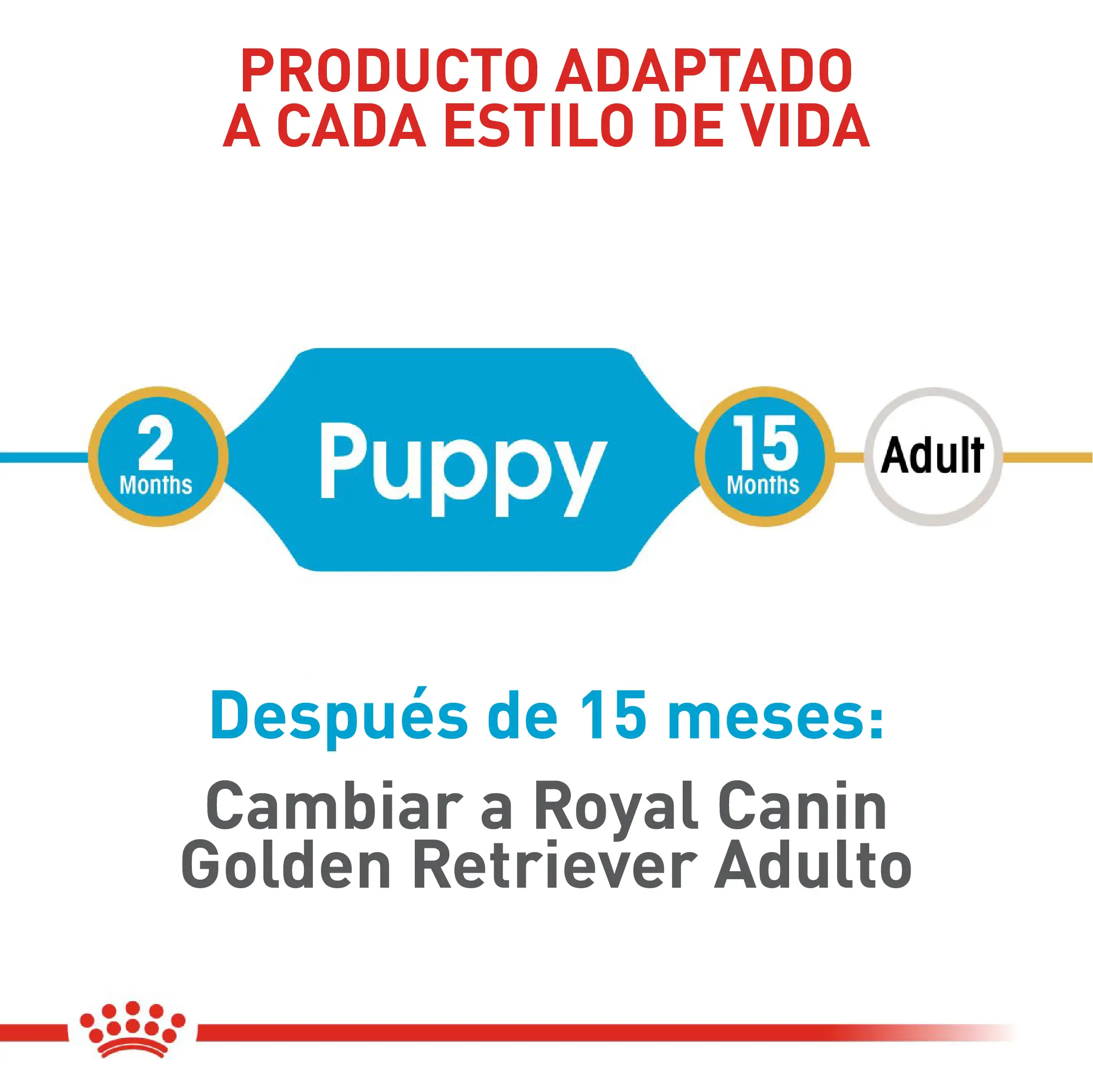 Comida Para Perro Royal Canin Bhn Golden Retriever Puppy - Image 6