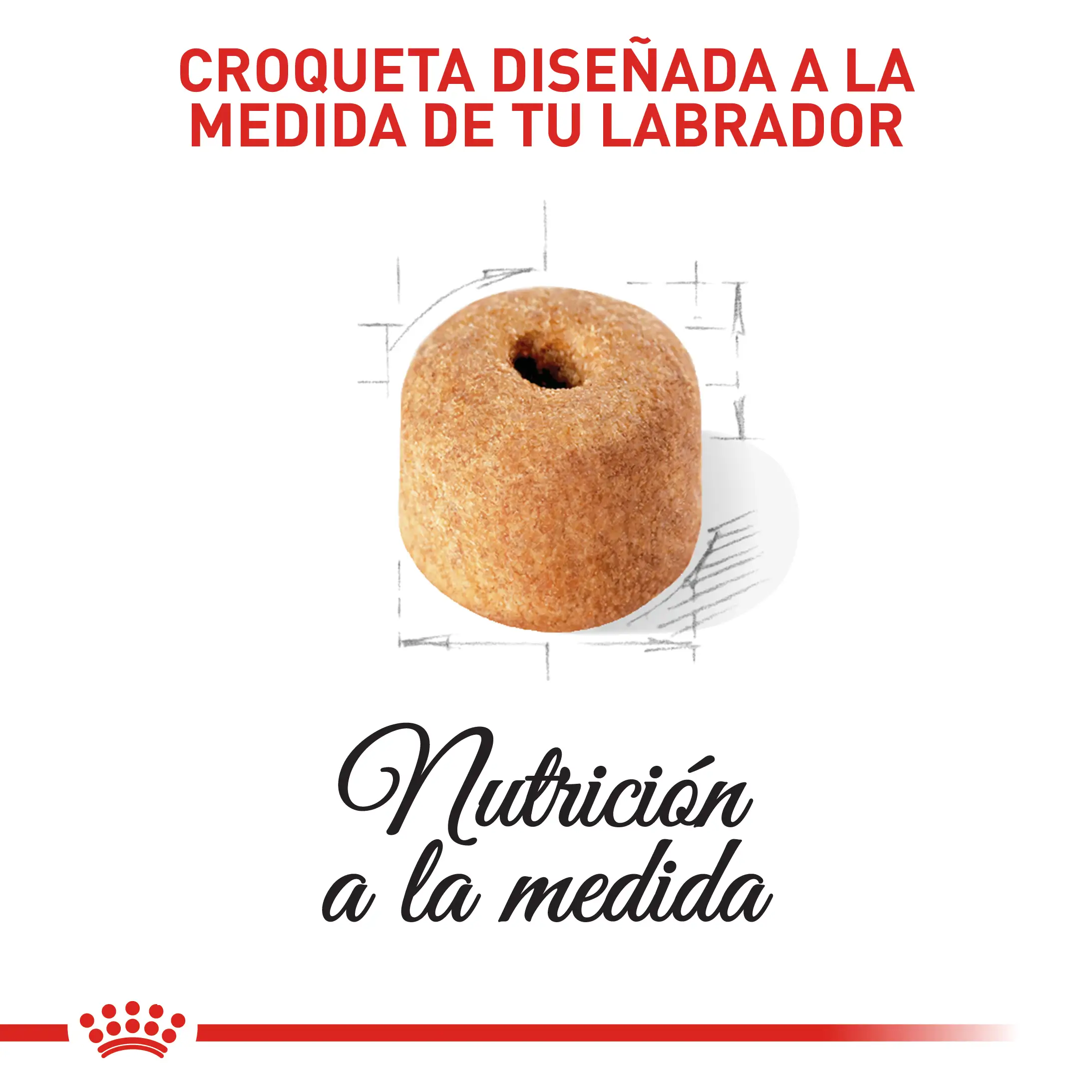 Comida Para Perro Royal Canin Bhn Labrador Adulto 13.6 Kg - Image 4