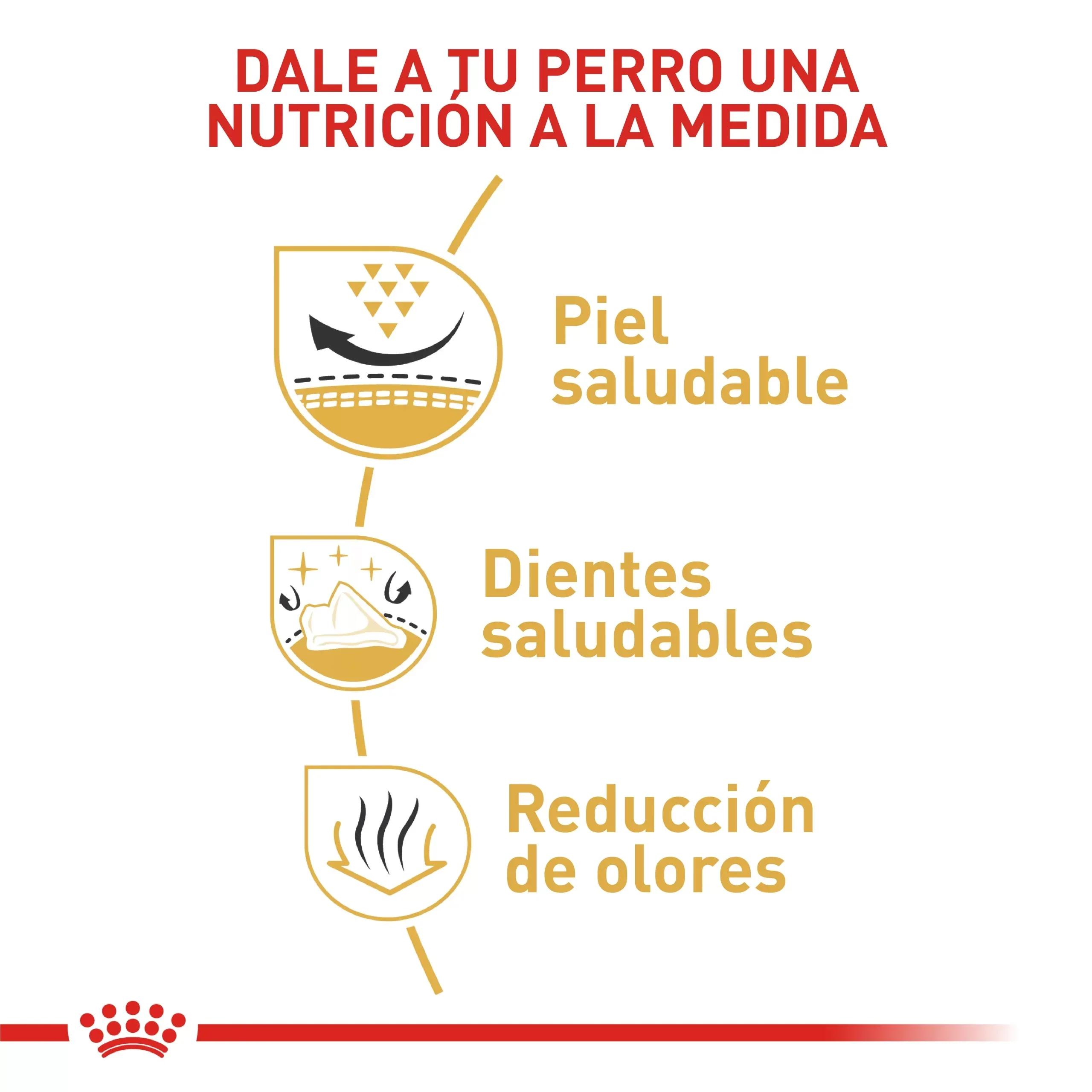 Comida Para Perro Royal Canin Bhn Pomerania Adulto - Image 2