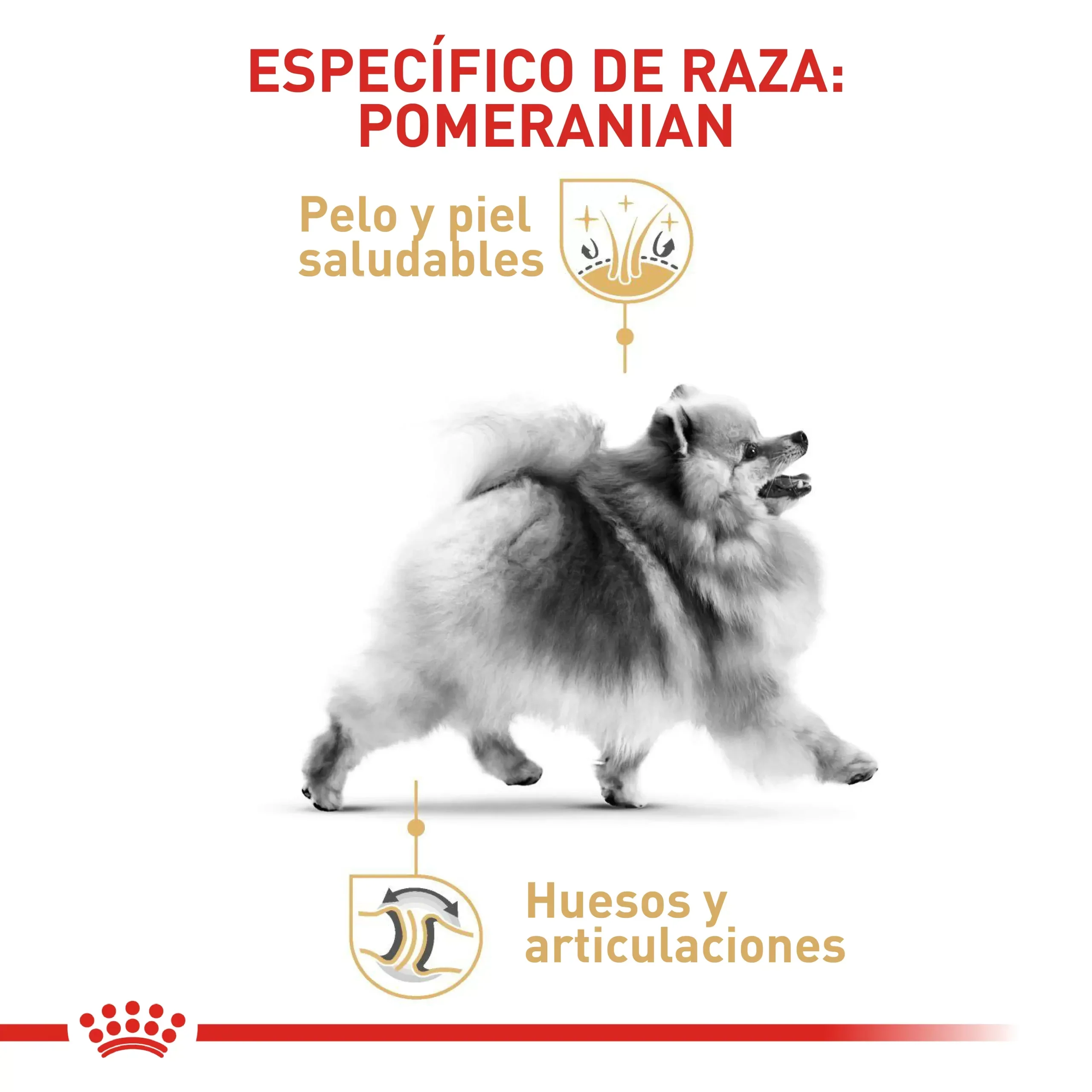 Comida Para Perro Royal Canin Bhn Pomerania Adulto - Image 4