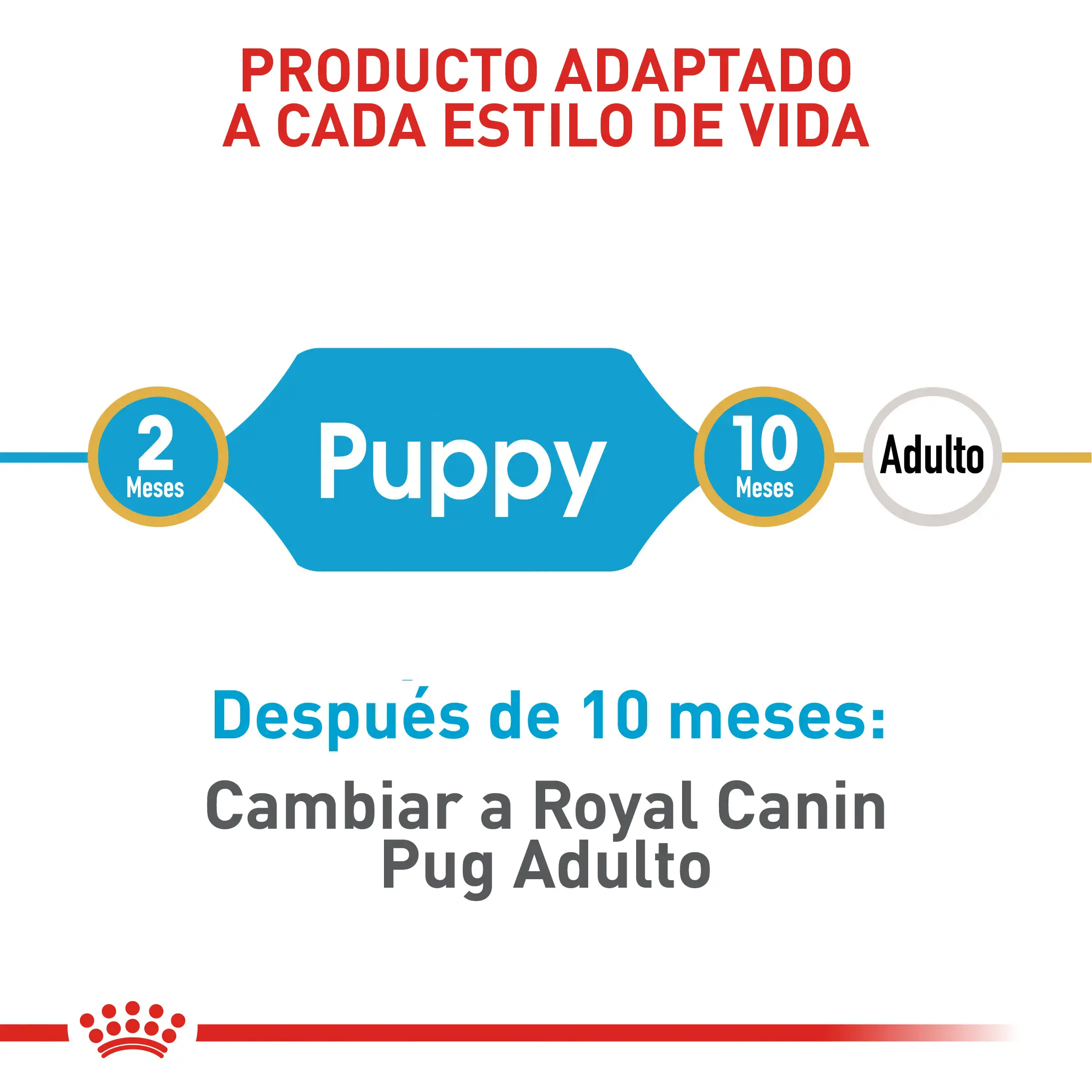 Comida Para Perro Royal Canin Bhn Pug Puppy x 1.13 Kg - Image 3