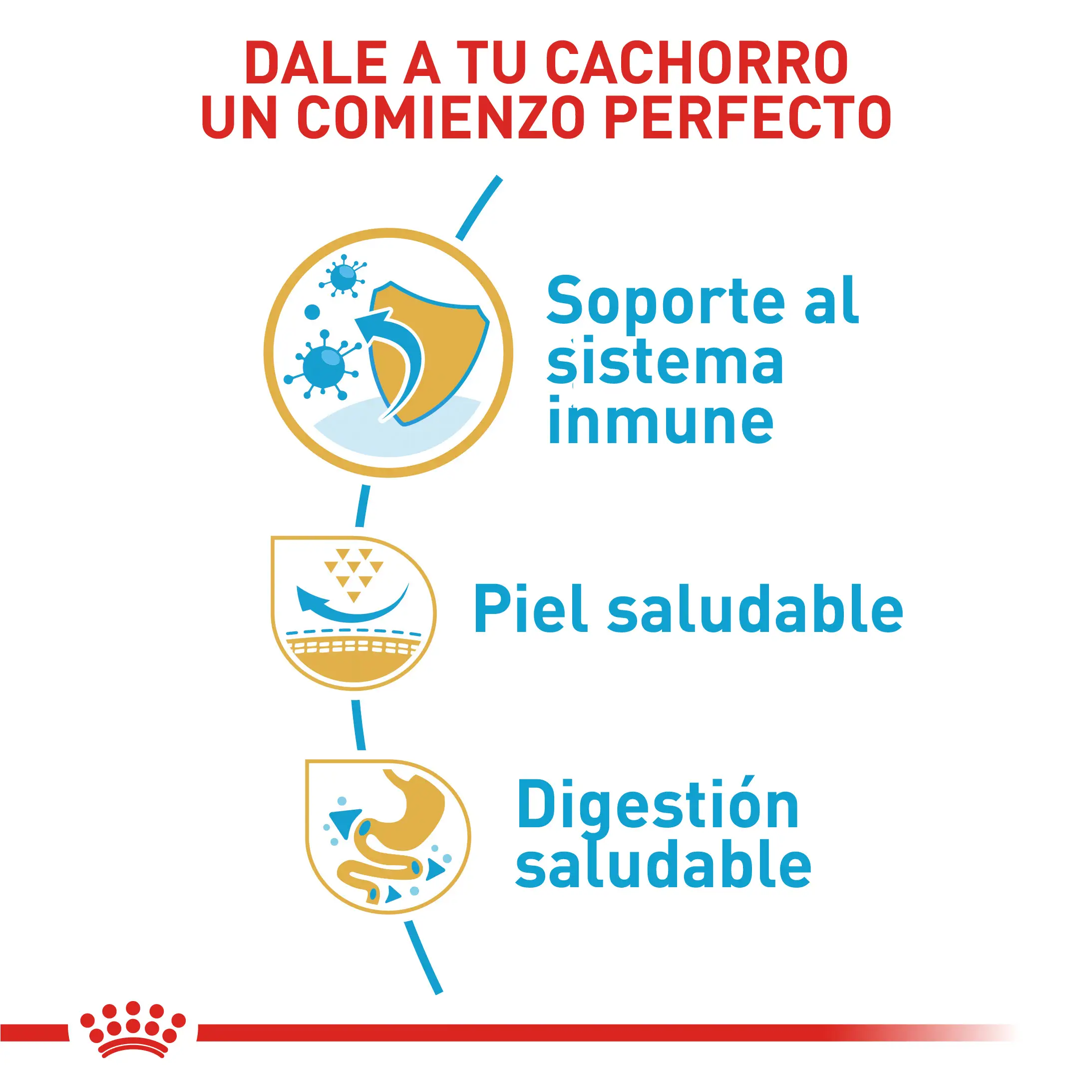 Comida Para Perro Royal Canin Bhn Pug Puppy x 1.13 Kg - Image 4