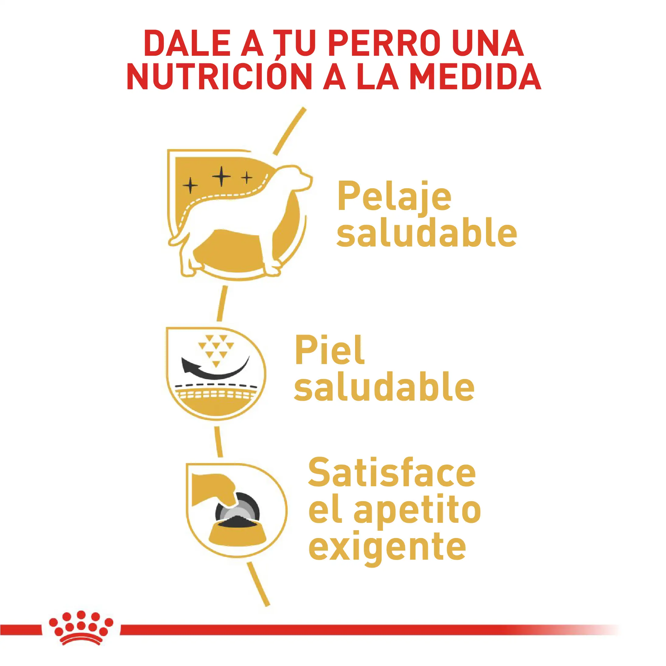Comida Para Perro Royal Canin Bhn West Highland Terrier Adulto x 3 Kg - Image 4