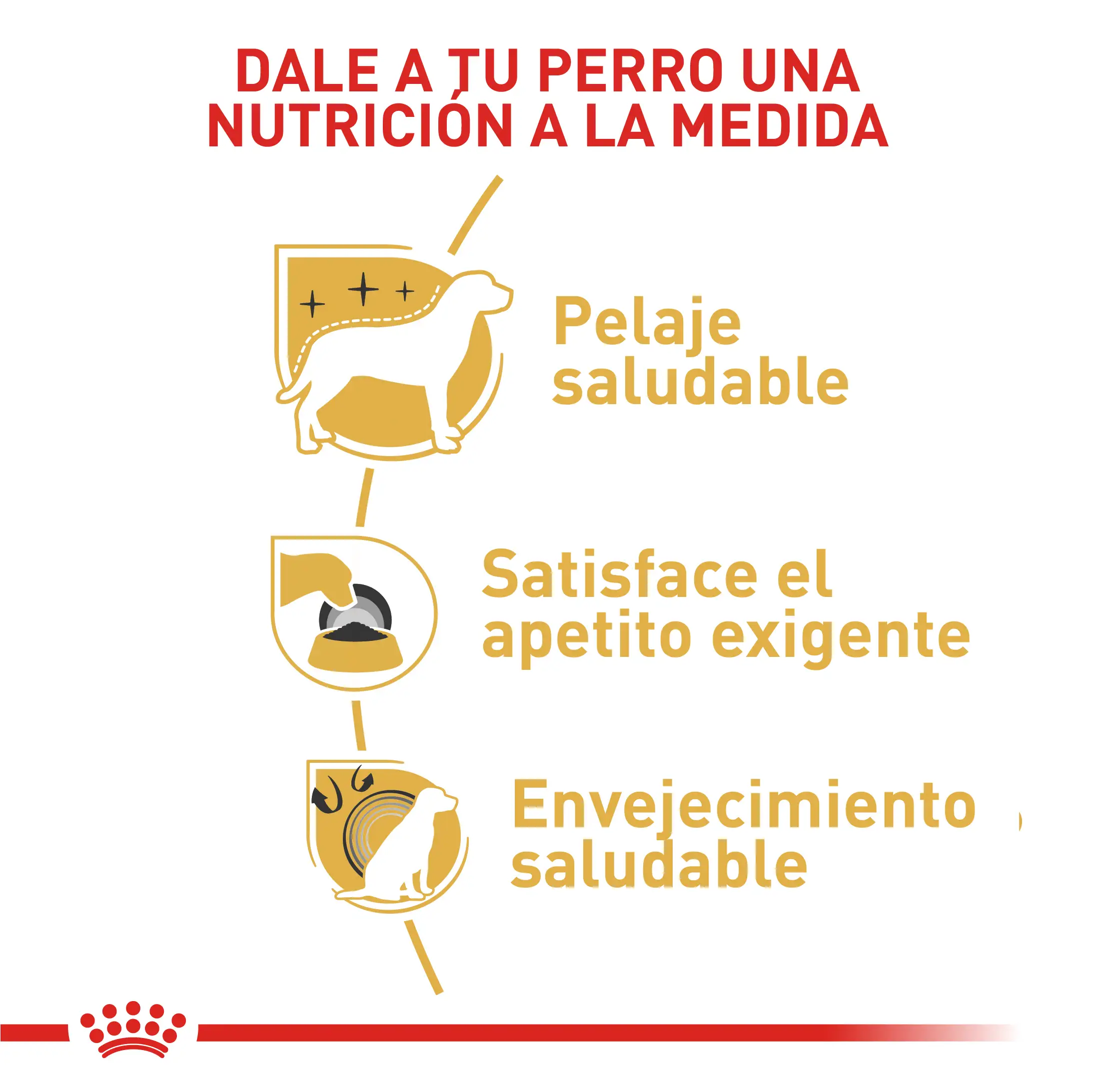 Comida Para Perro Royal Canin Bhn Yorkshire Adulto - Image 2