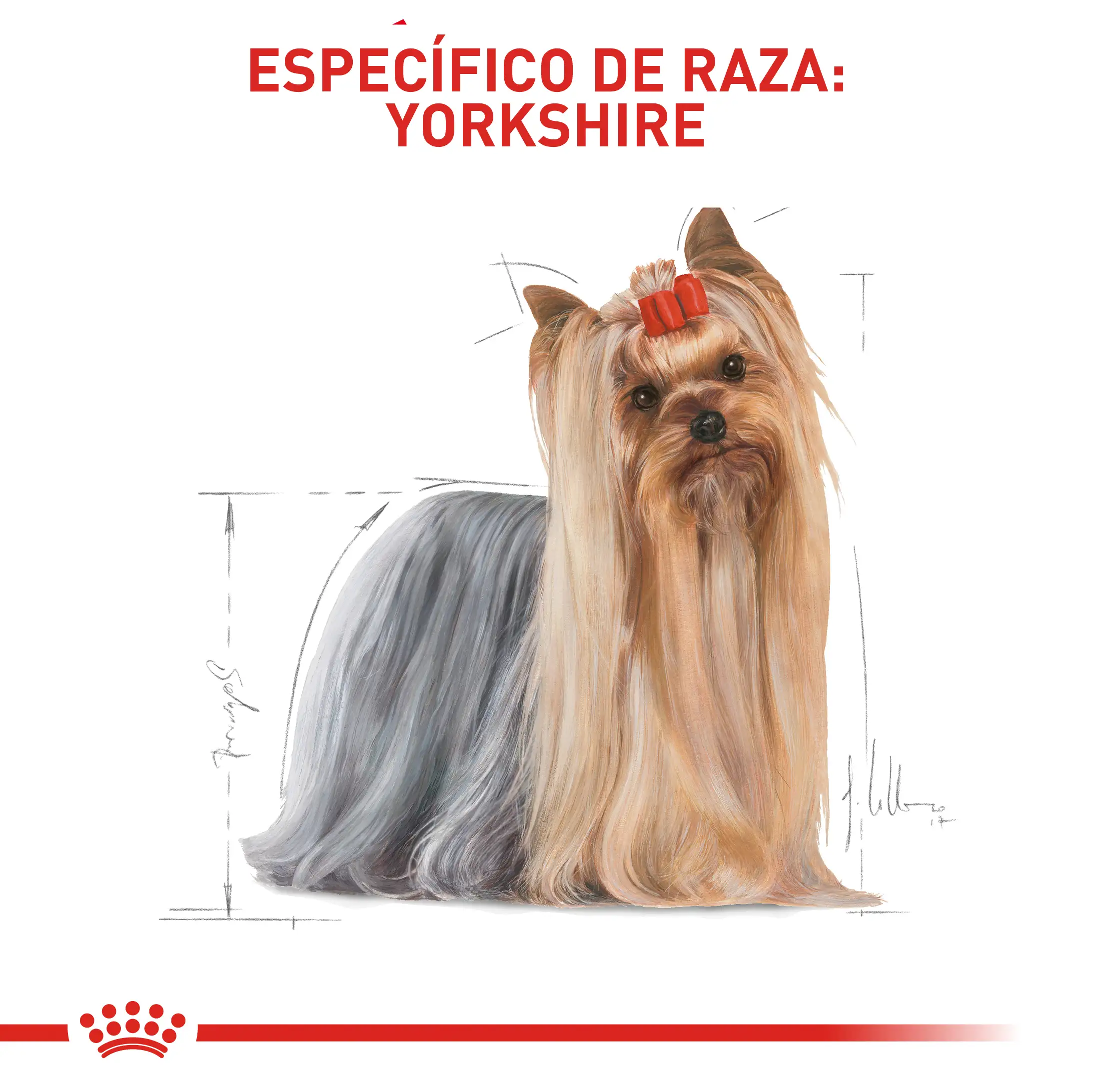 Comida Para Perro Royal Canin Bhn Yorkshire Adulto - Image 4