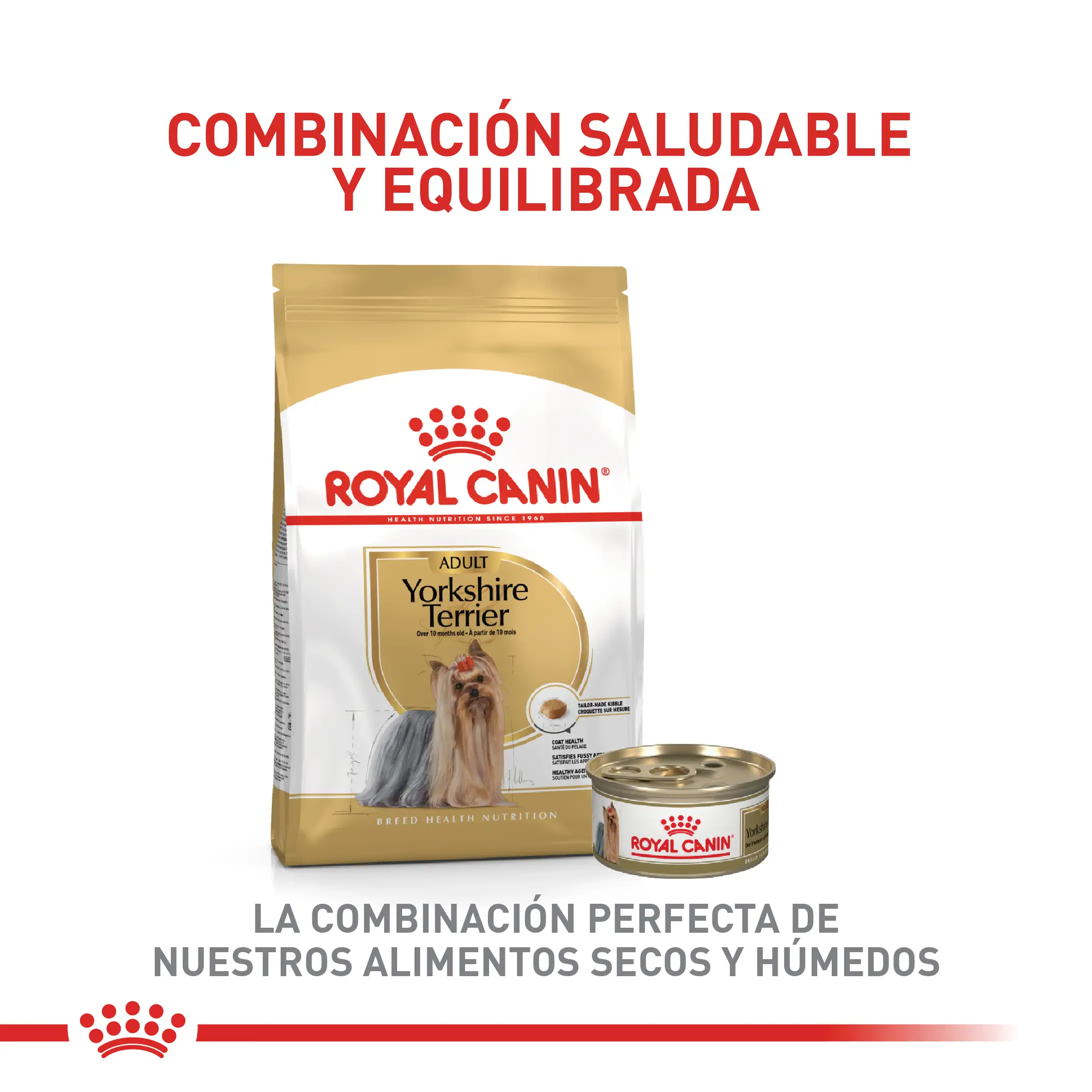 Comida Para Perro Royal Canin Bhn Yorkshire Adulto - Image 6