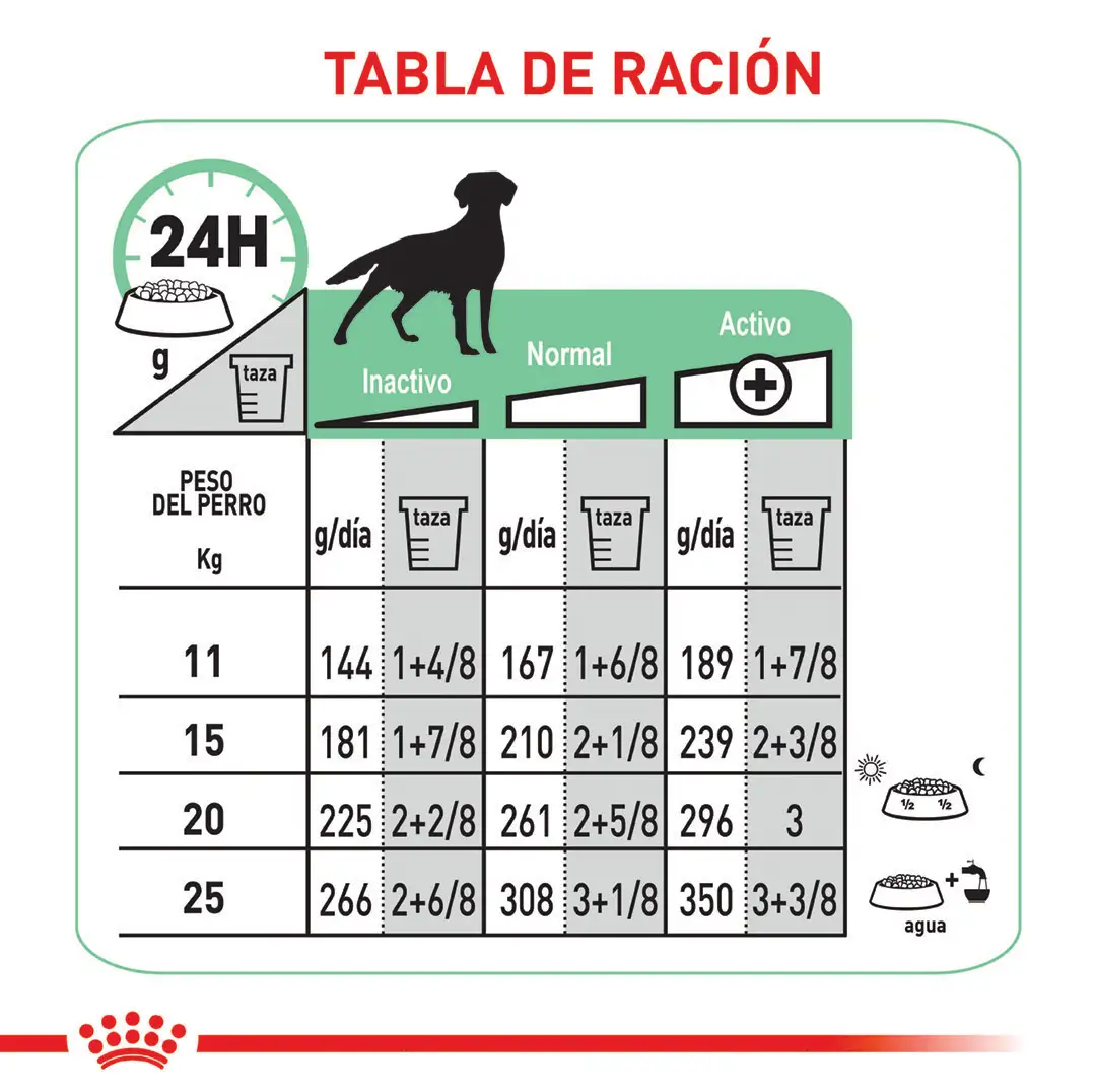 Comida Para Perro Royal Canin Ccn Medium Digestive Care 3Kg - Image 2
