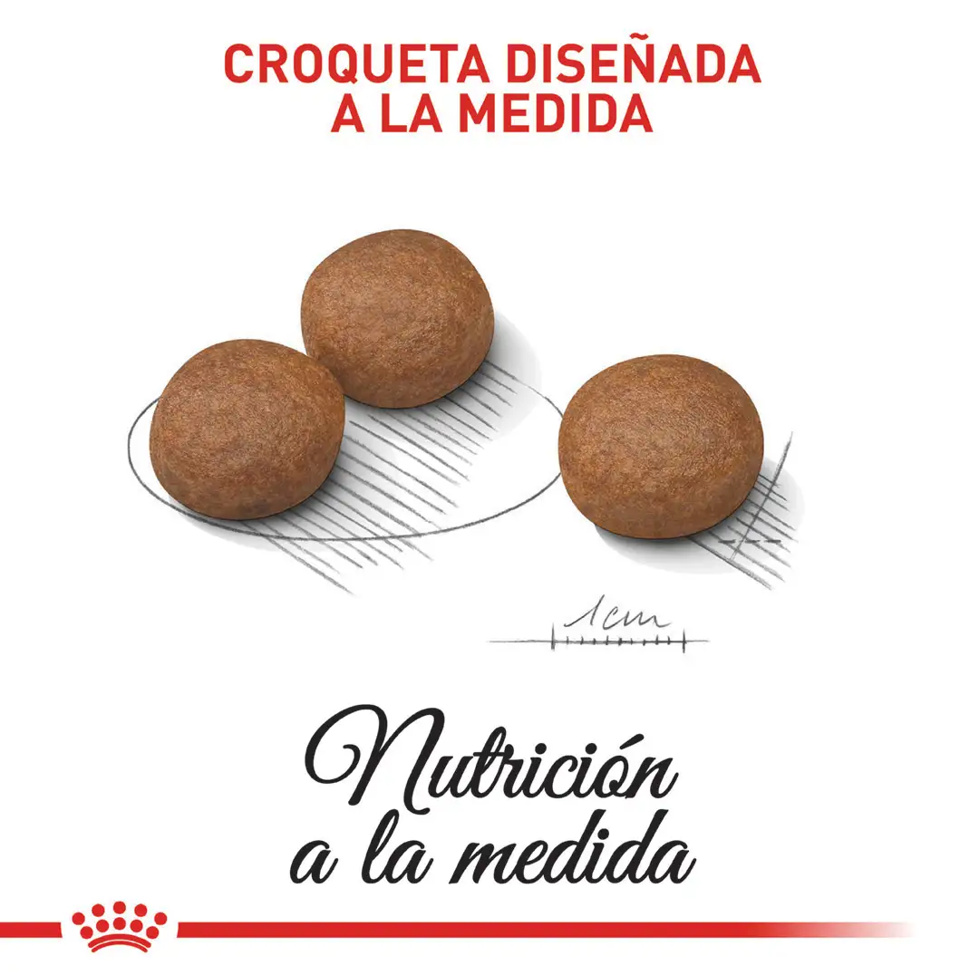 Comida Para Perro Royal Canin Ccn Medium Digestive Care 3Kg - Image 4