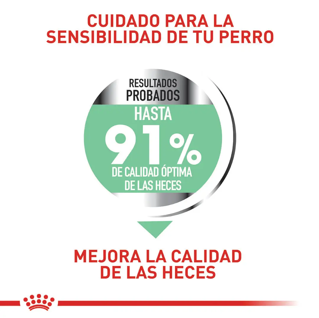 Comida Para Perro Royal Canin Ccn Medium Digestive Care 3Kg - Image 5