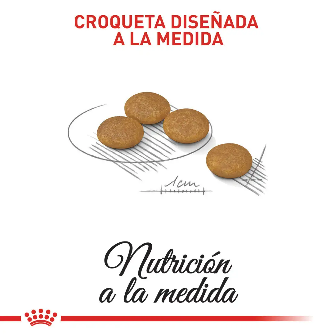 Comida Para Perro Royal Canin Ccn Mini Derma 3Kg - Image 5