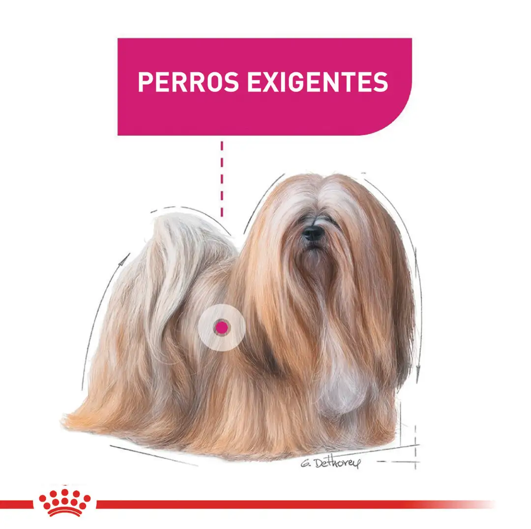 Comida Para Perro Royal Canin Ccn Mini Exigent - Image 4