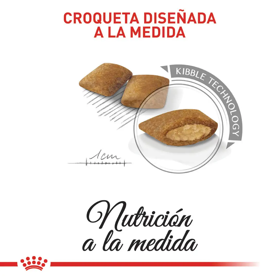 Comida Para Perro Royal Canin Ccn Mini Exigent - Image 5