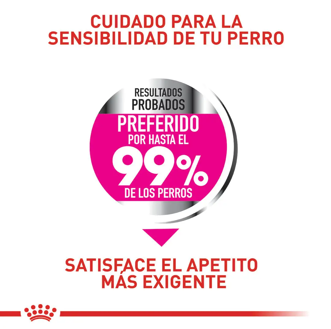Comida Para Perro Royal Canin Ccn Mini Exigent - Image 6