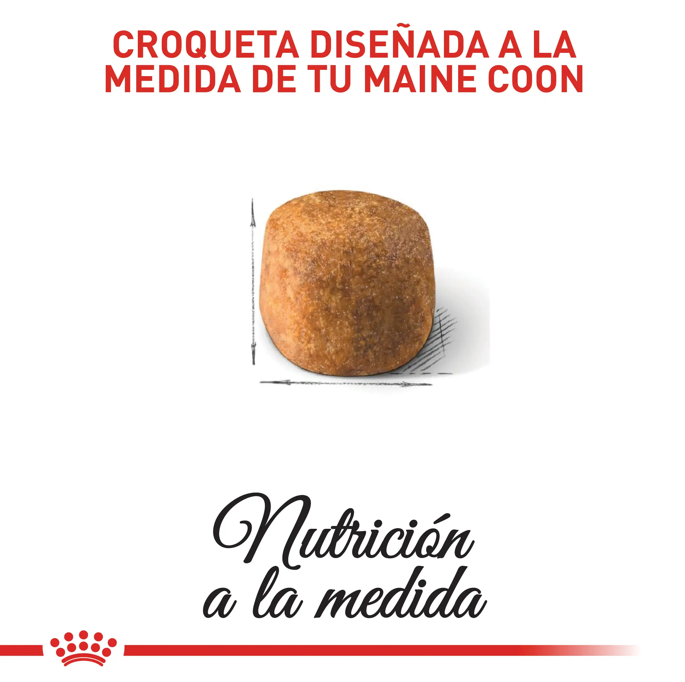Alimento Royal Canin Fbn Maine Coon Adulto 2Kg - Image 3