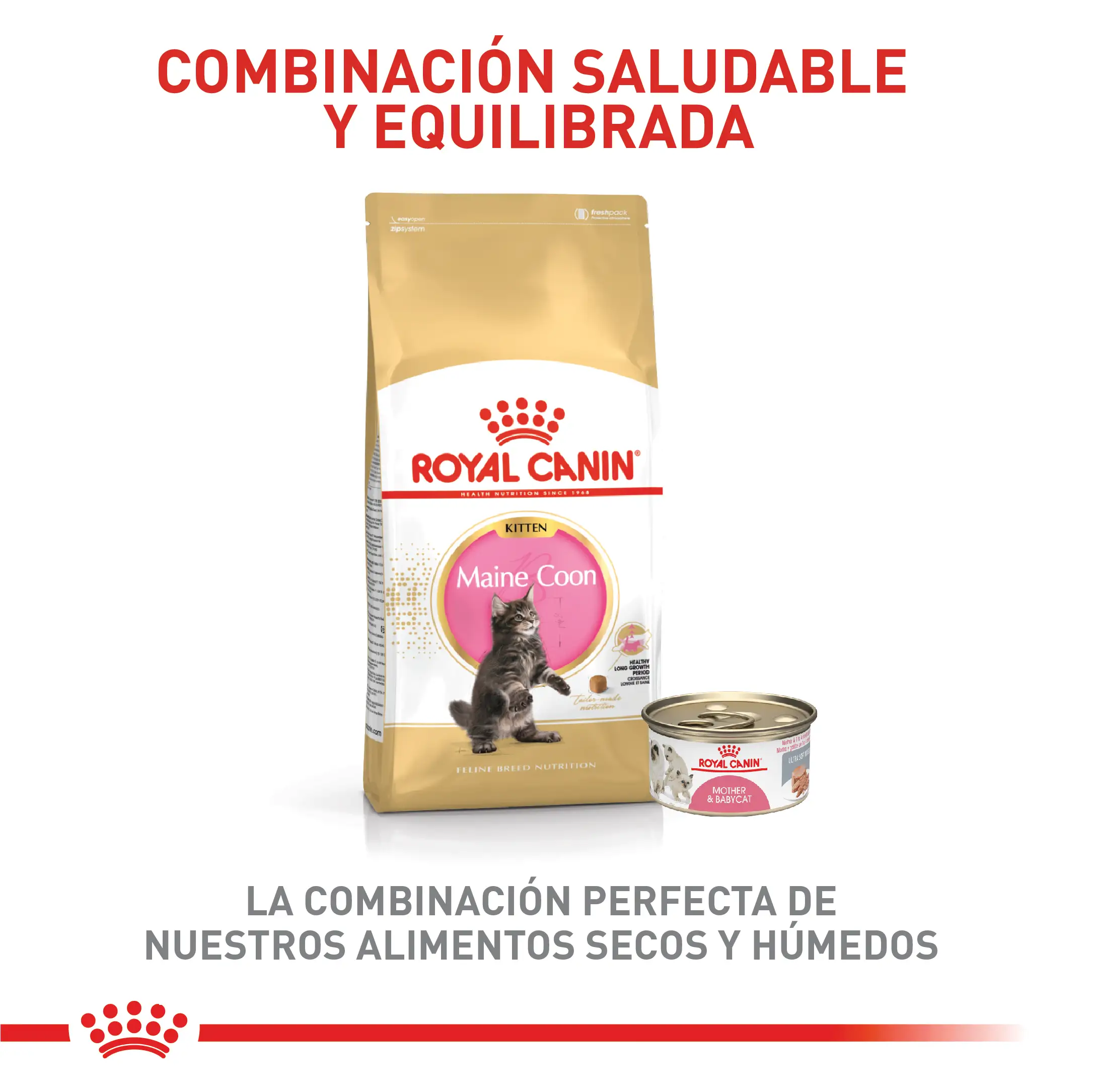 Alimento Royal Canin Fbn Maine Coon Kitten 4 Kg - Image 6