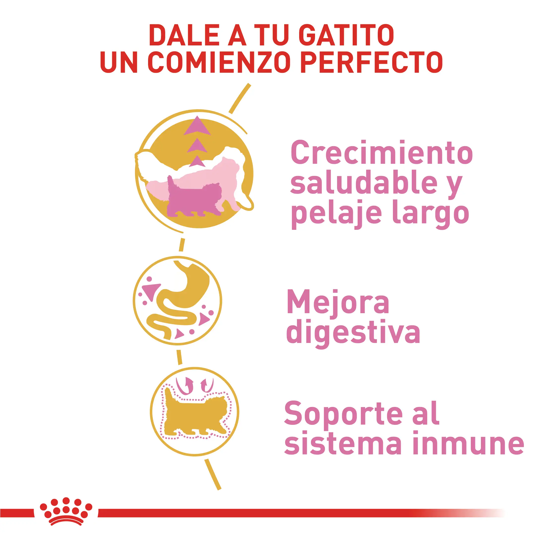 Alimento Royal Canin Fbn Persian Kitten 2 Kg - Image 2