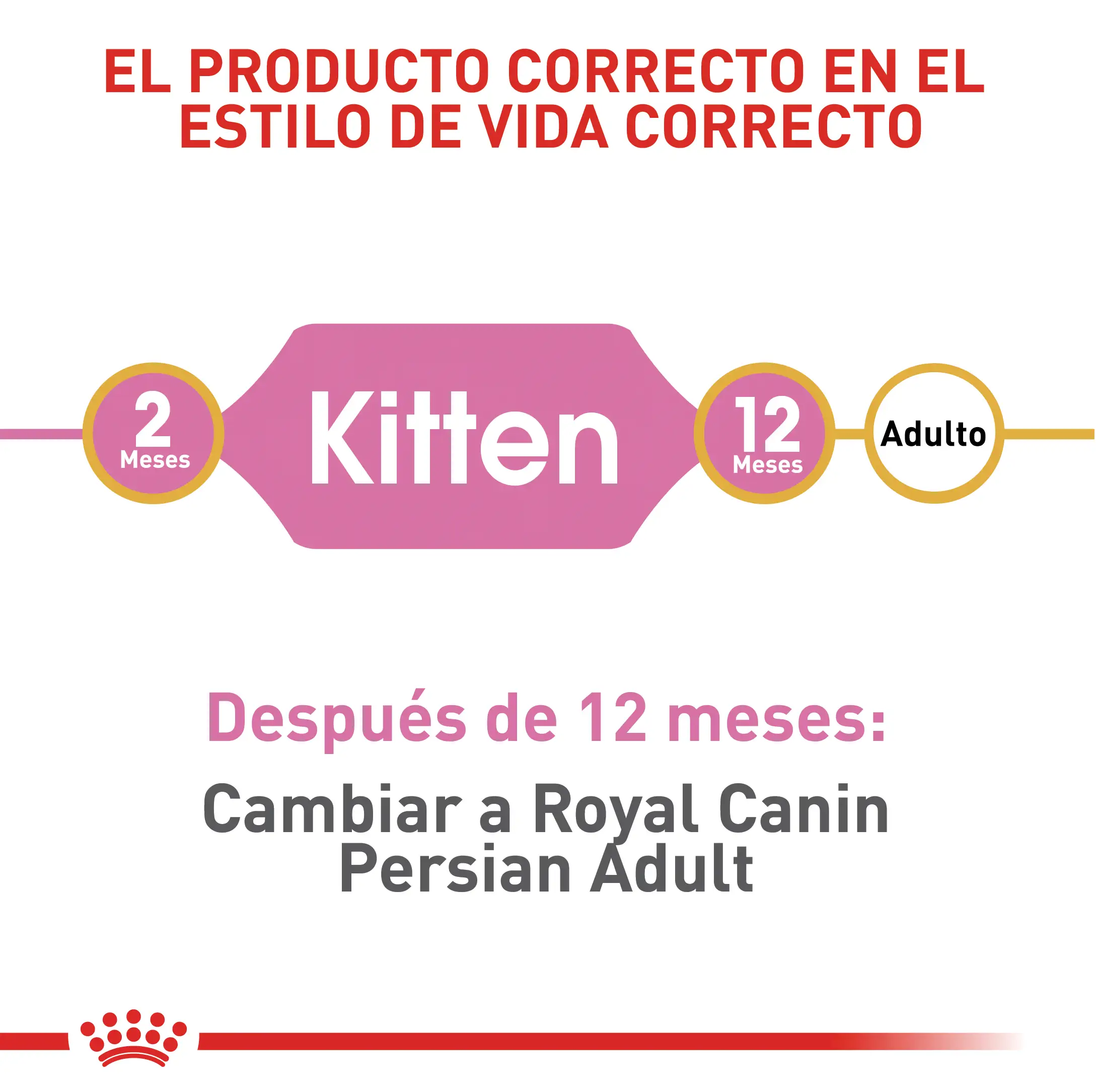 Alimento Royal Canin Fbn Persian Kitten 2 Kg - Image 3