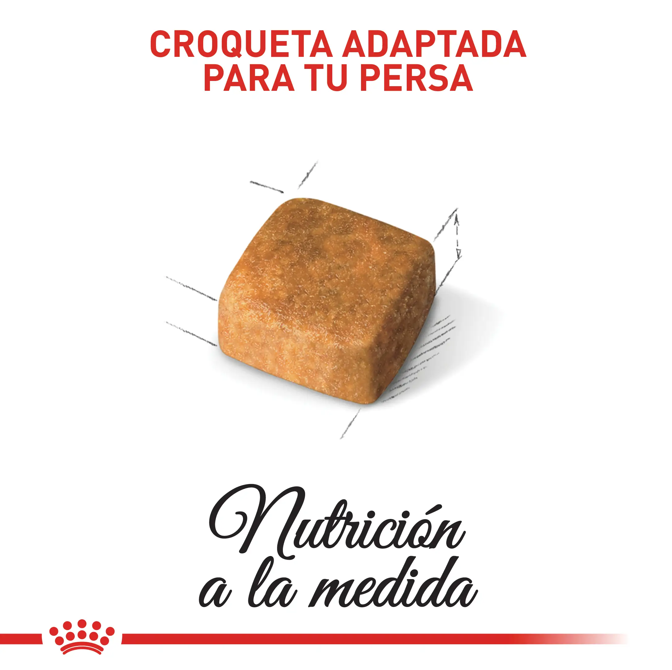 Alimento Royal Canin Fbn Persian Kitten 2 Kg - Image 4