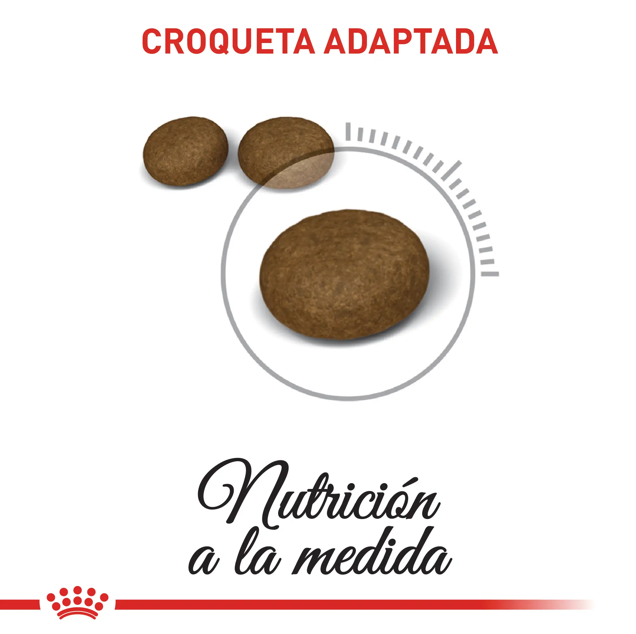 Alimento Royal Canin Fcn Hair And Skin Care 2 Kg - Image 3