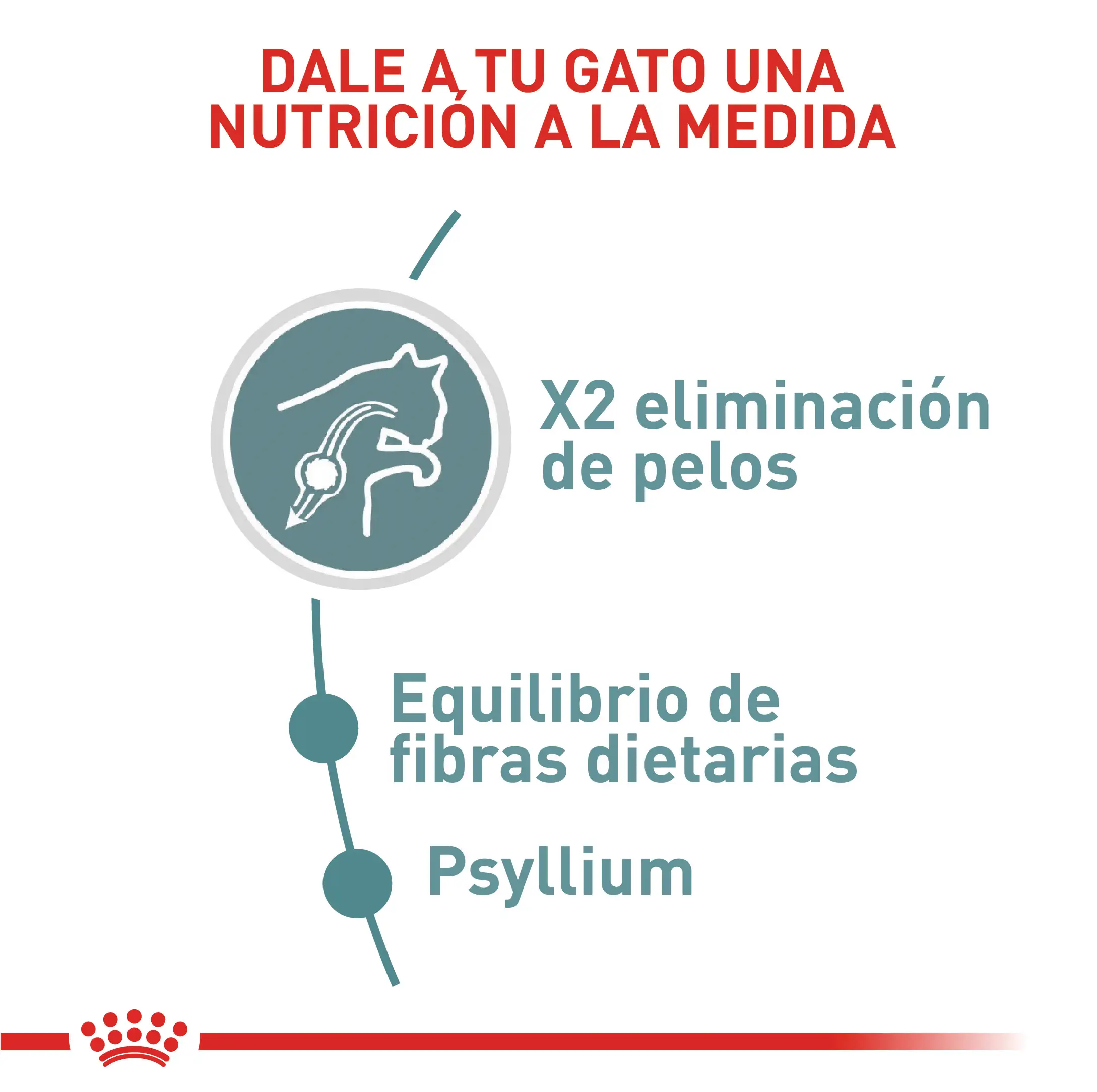 Alimento Royal Canin Fcn Hairball Care 2.72 Kg - Image 2