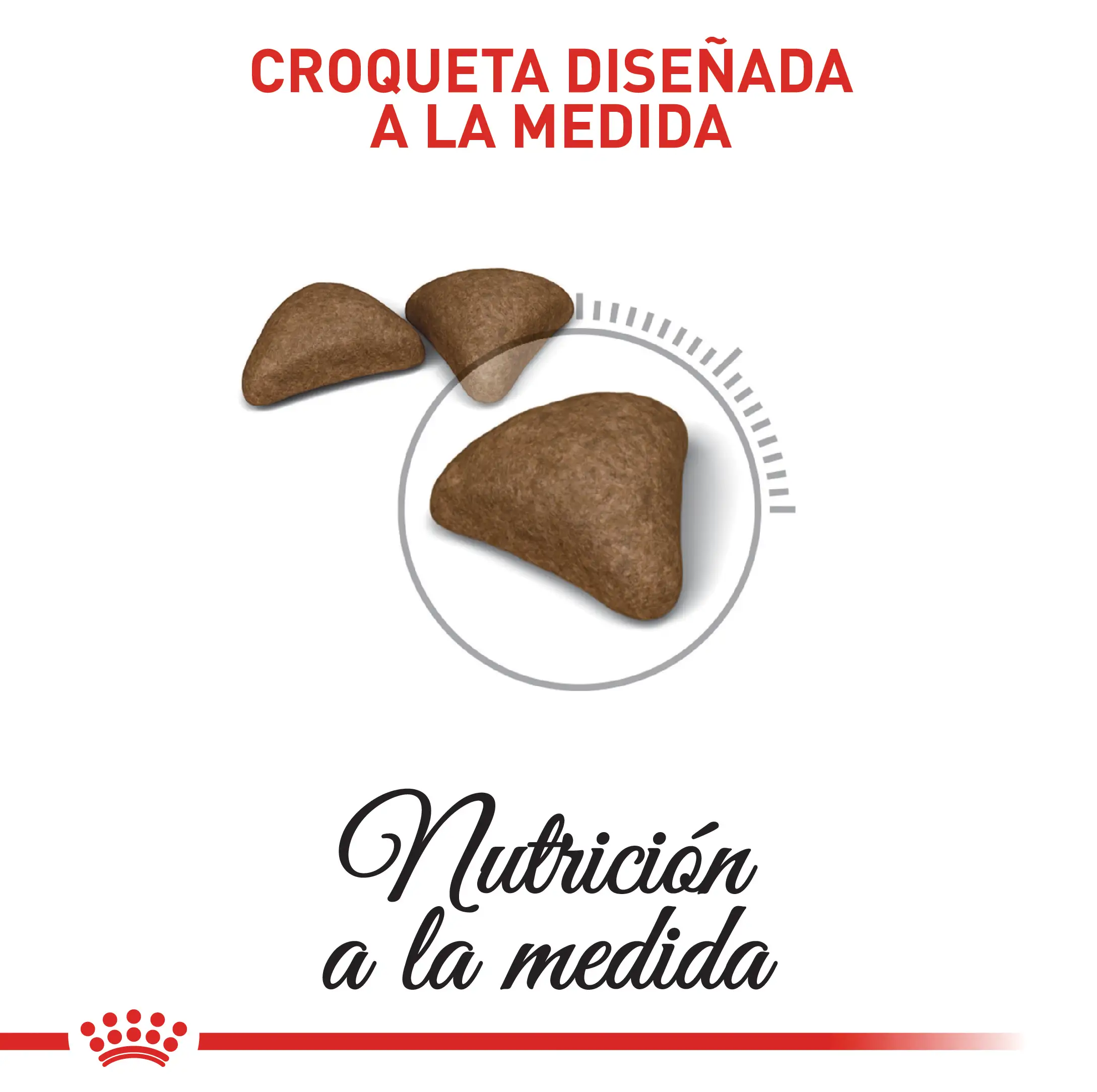 Alimento Royal Canin Fcn Hairball Care 2.72 Kg - Image 3