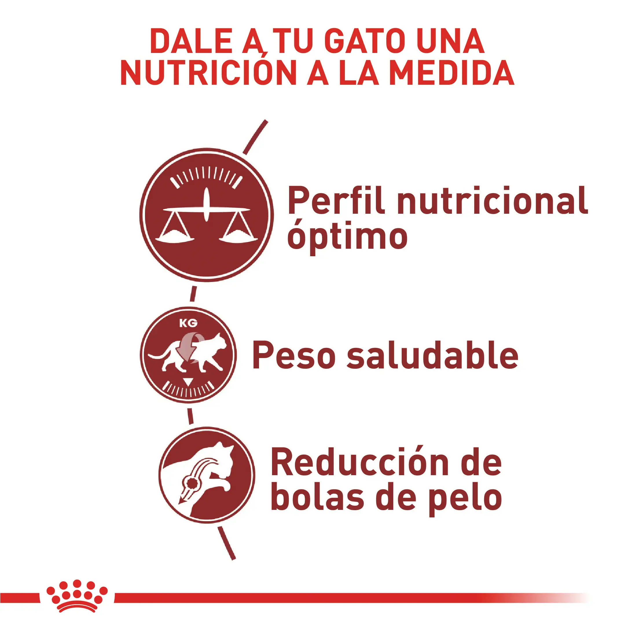 Comida Para Gato Royal Canin Fhn Adult Fit - Image 2