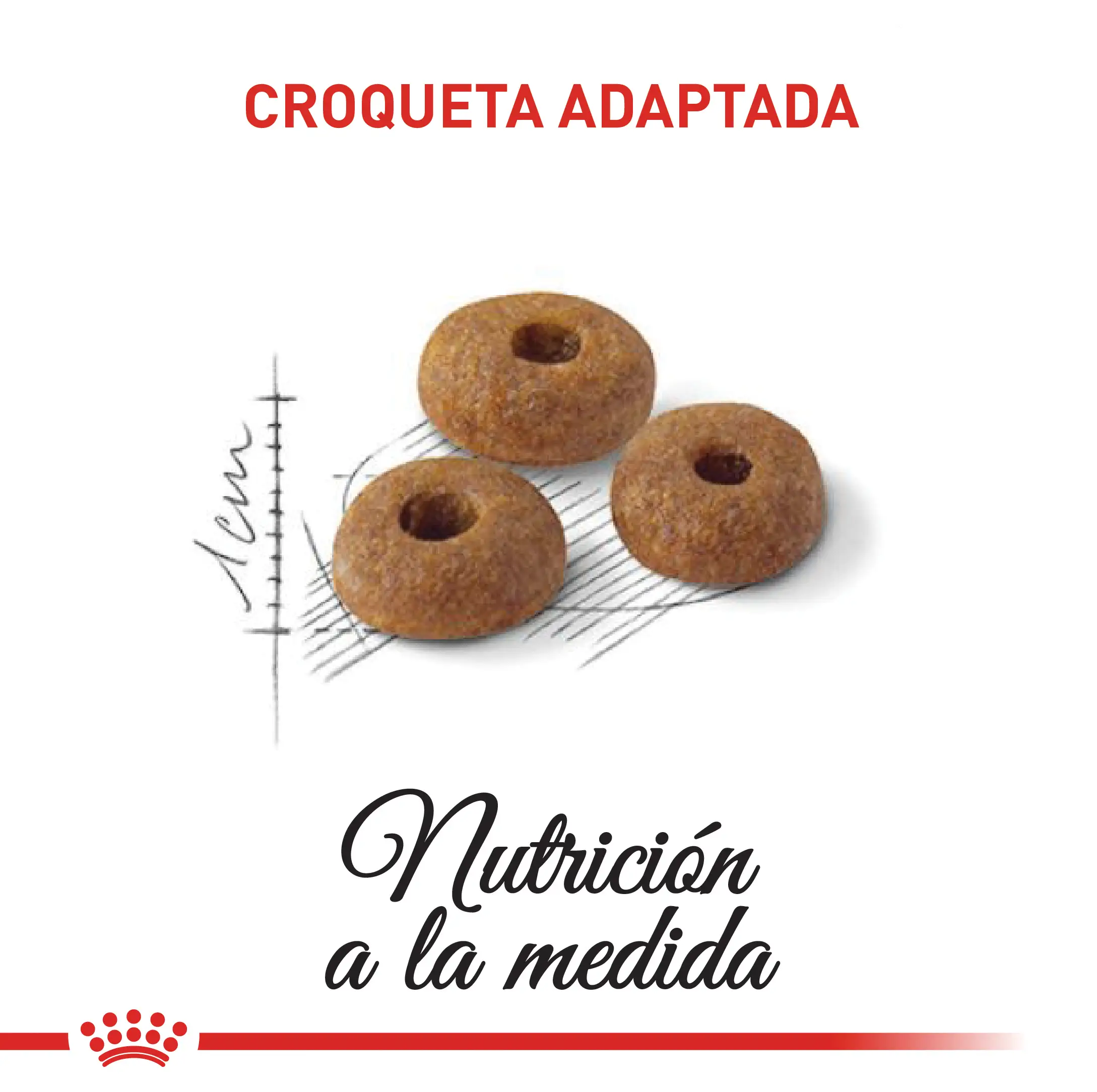Comida Para Gato Royal Canin Fhn Adult Fit - Image 3