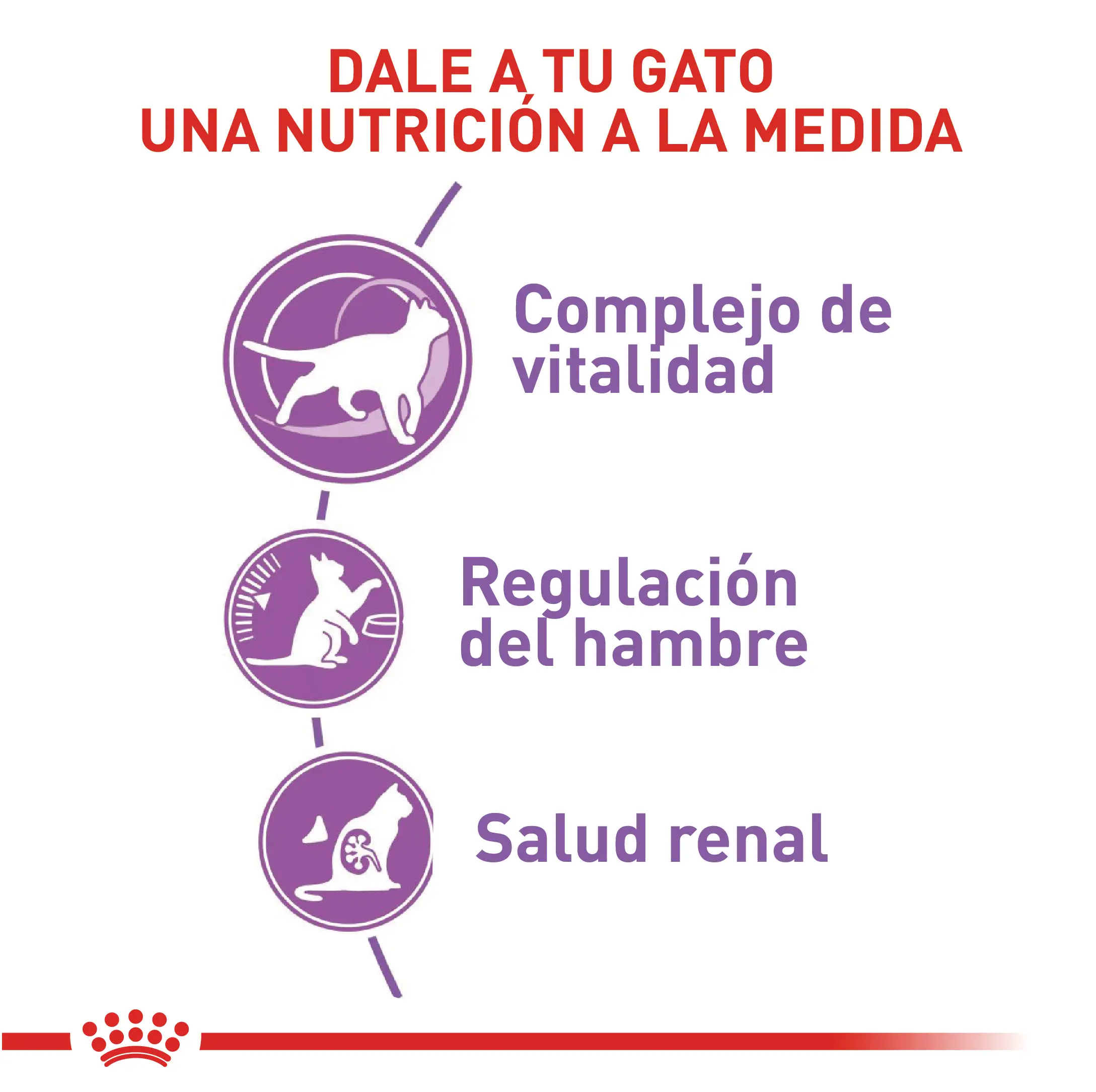 Comida Para Gato Royal Canin Fhn Esterilizado 7+ 1.5Kg - Image 2
