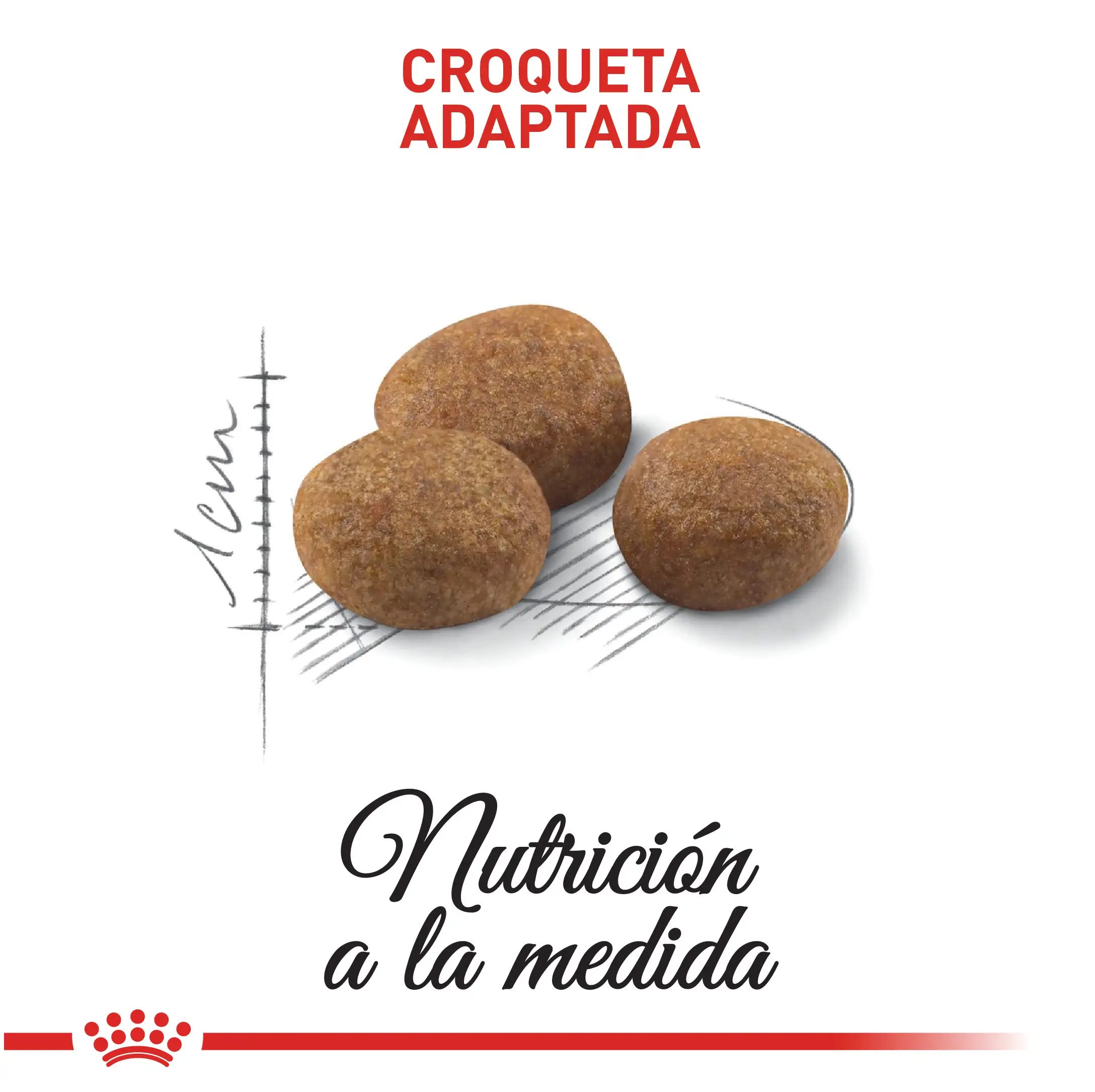 Comida Para Gato Royal Canin Fhn Esterilizado 7+ 1.5Kg - Image 4