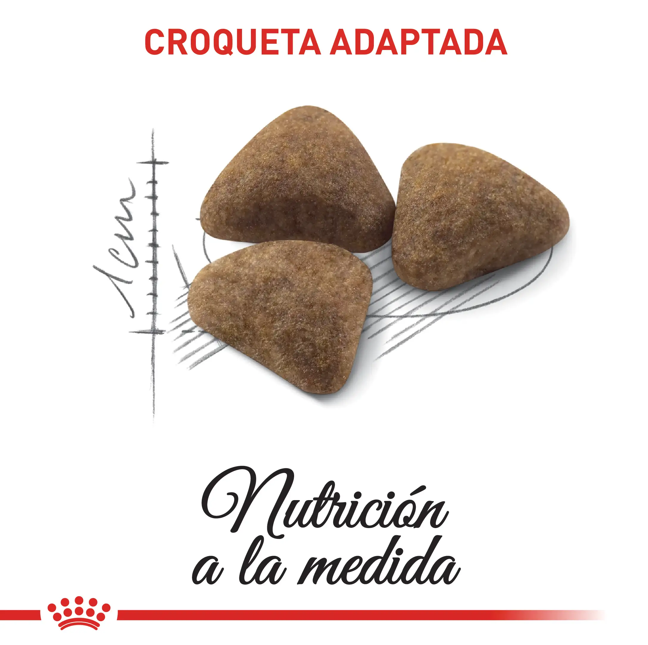 Comida Para Gato Royal Canin Fhn Indoor 27 Adulto - Image 3