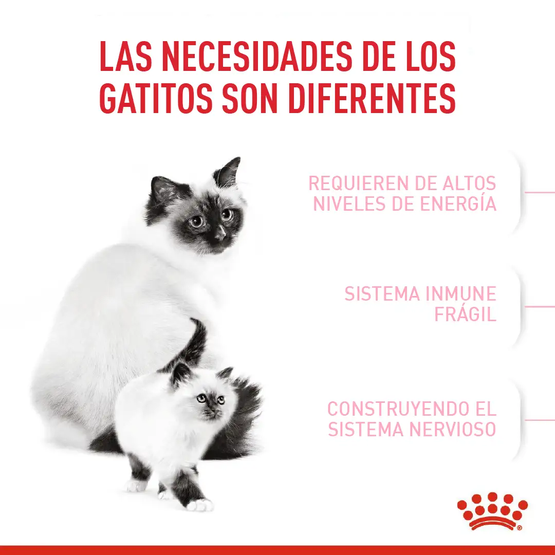 Comida Para Gato Royal Canin Fhn Mother&Babycat - Image 4