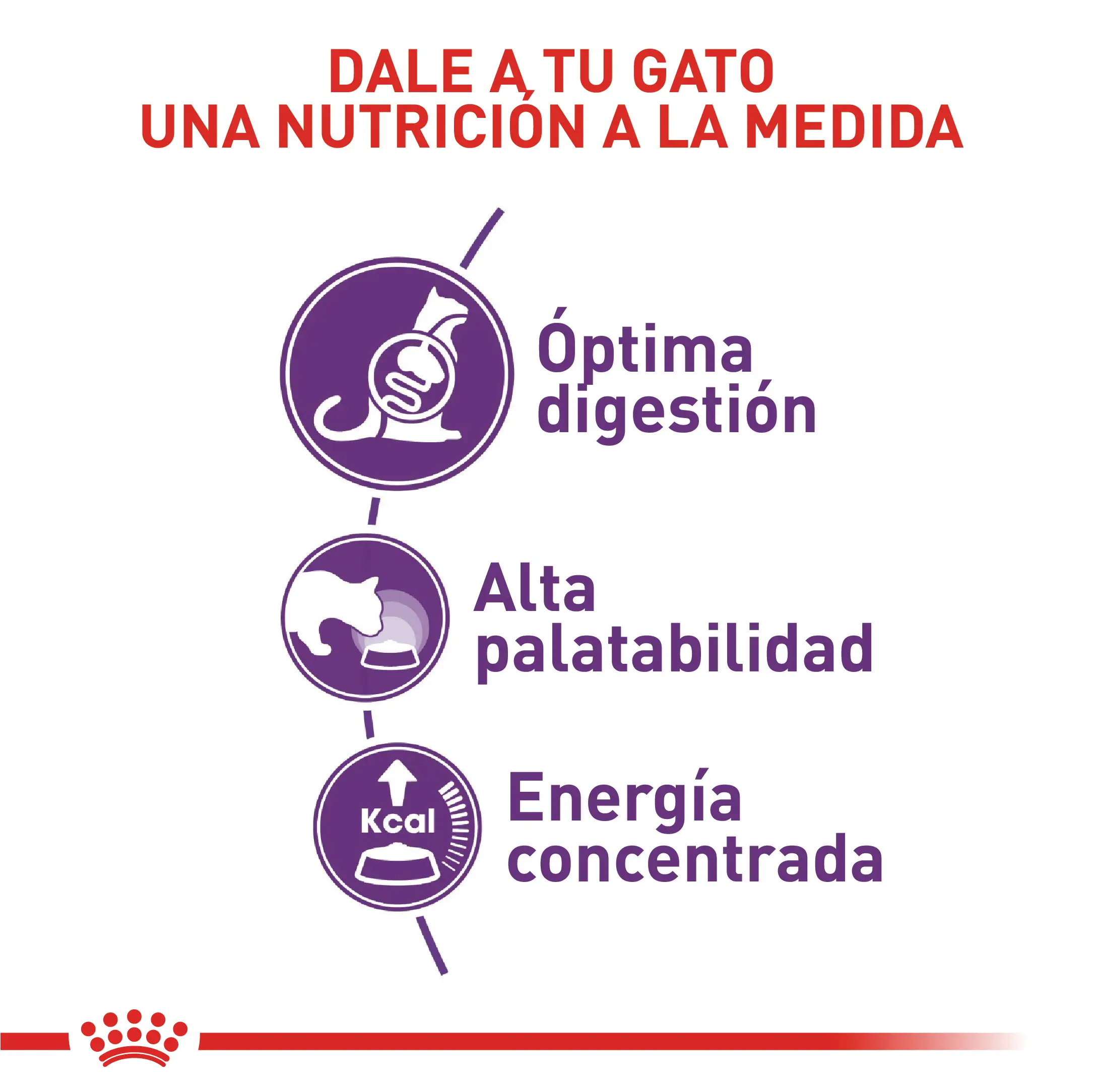 Comida Para Gato Royal Canin Fhn Sensible 2 Kg - Image 2