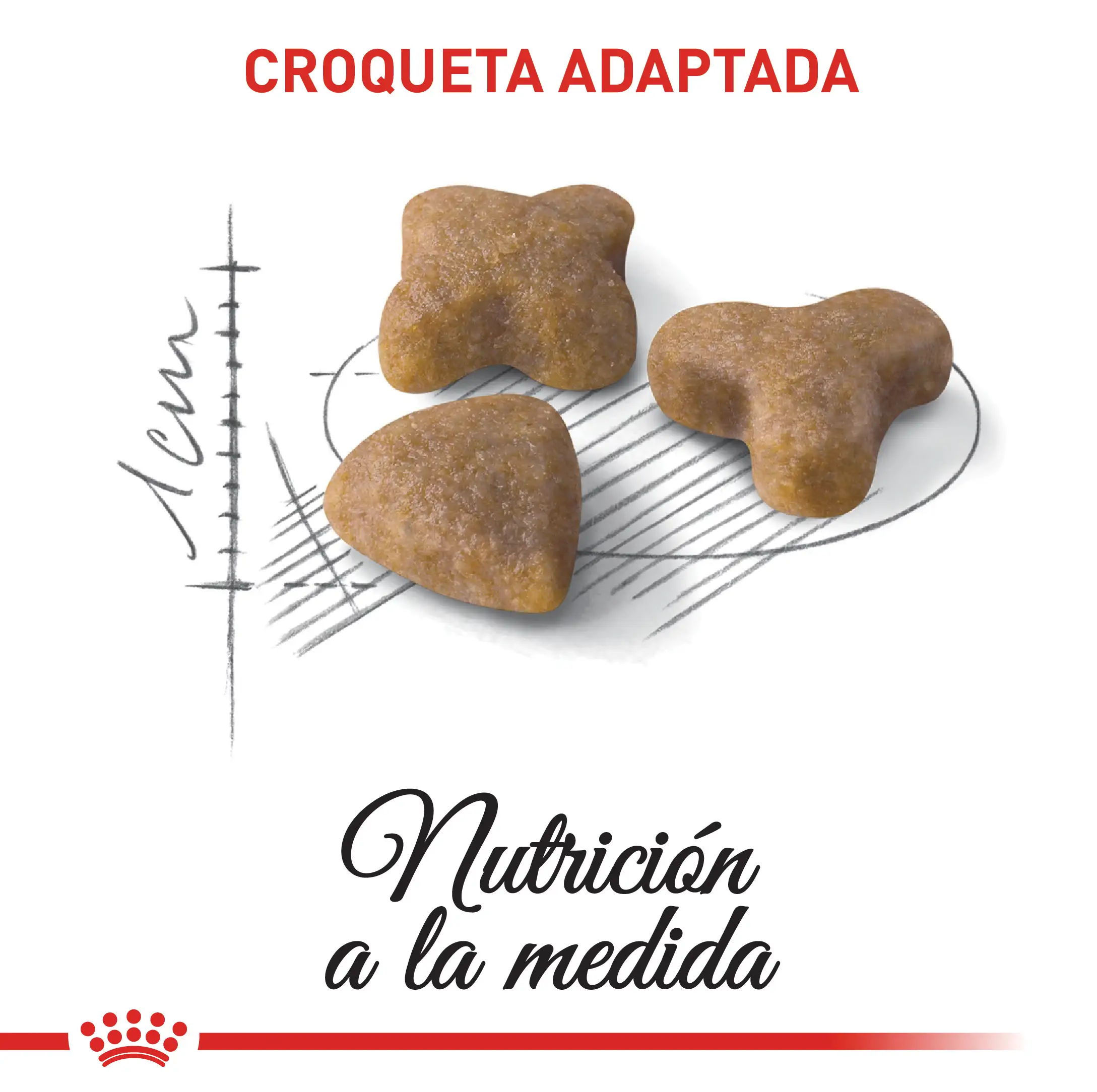 Comida Para Gato Royal Canin Fhn Sensible 2 Kg - Image 3