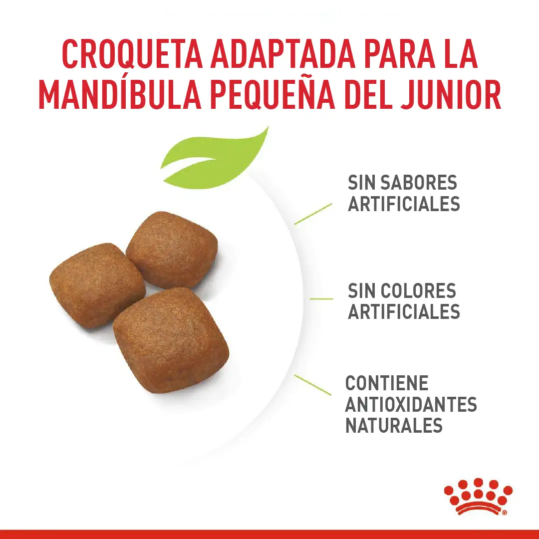 Comida Para Perro Royal Canin Shn Giant Adulto - Image 2