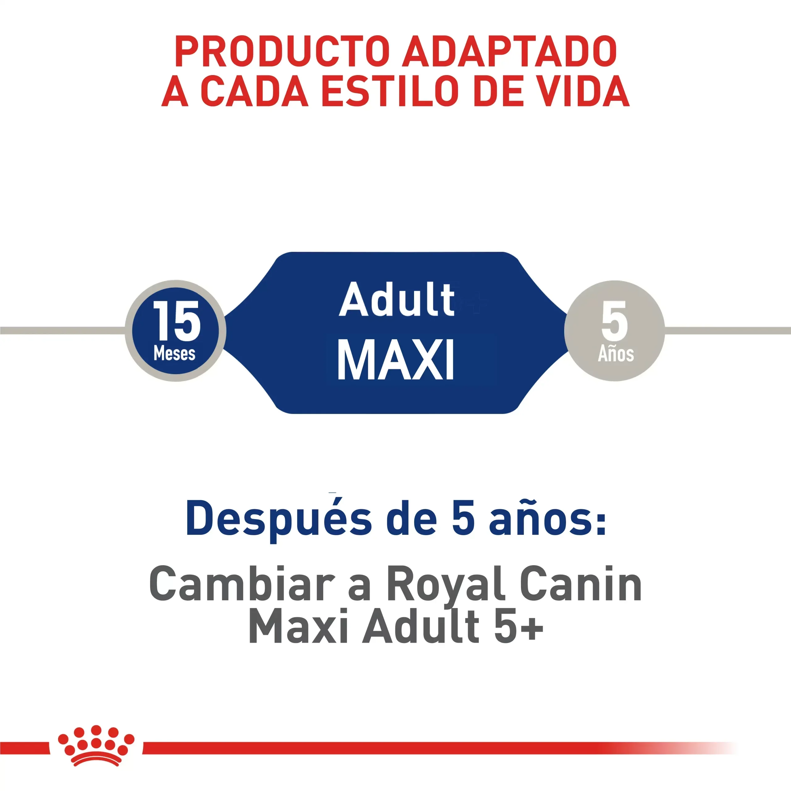 Comida Para Perro Royal Canin Shn Maxi Adulto 4 Kg - Image 3